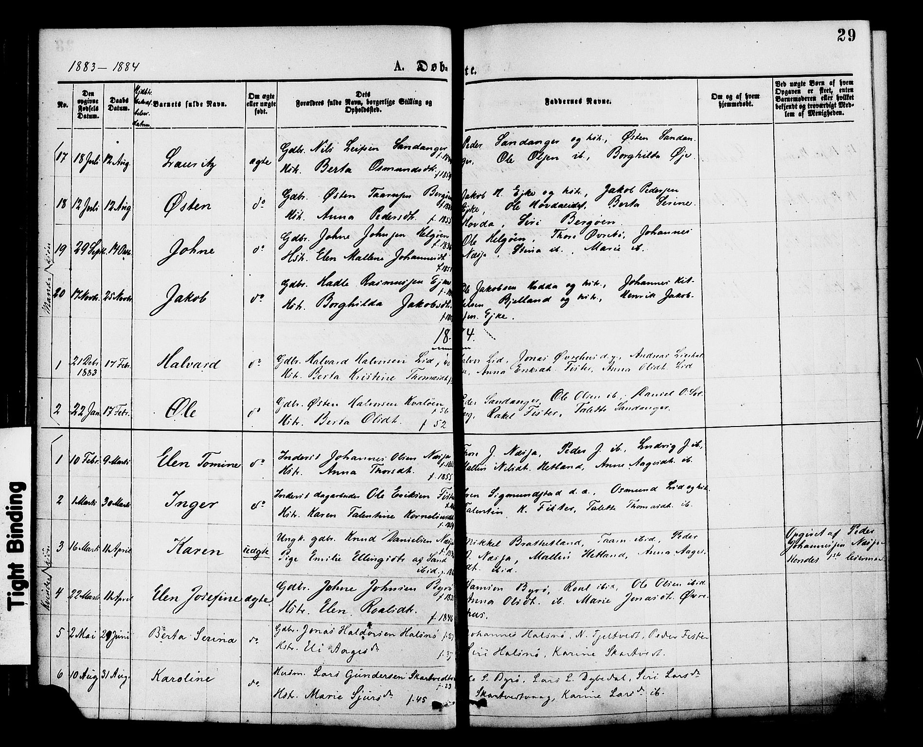 Hjelmeland sokneprestkontor, SAST/A-101843/01/IV/L0013: Parish register (official) no. A 13, 1872-1886, p. 29