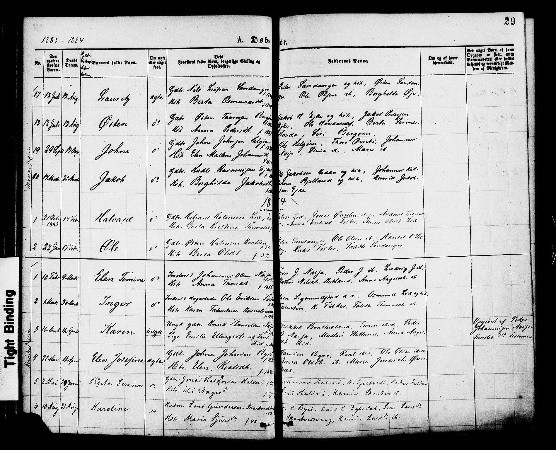 Hjelmeland sokneprestkontor, AV/SAST-A-101843/01/IV/L0013: Parish register (official) no. A 13, 1872-1886, p. 29