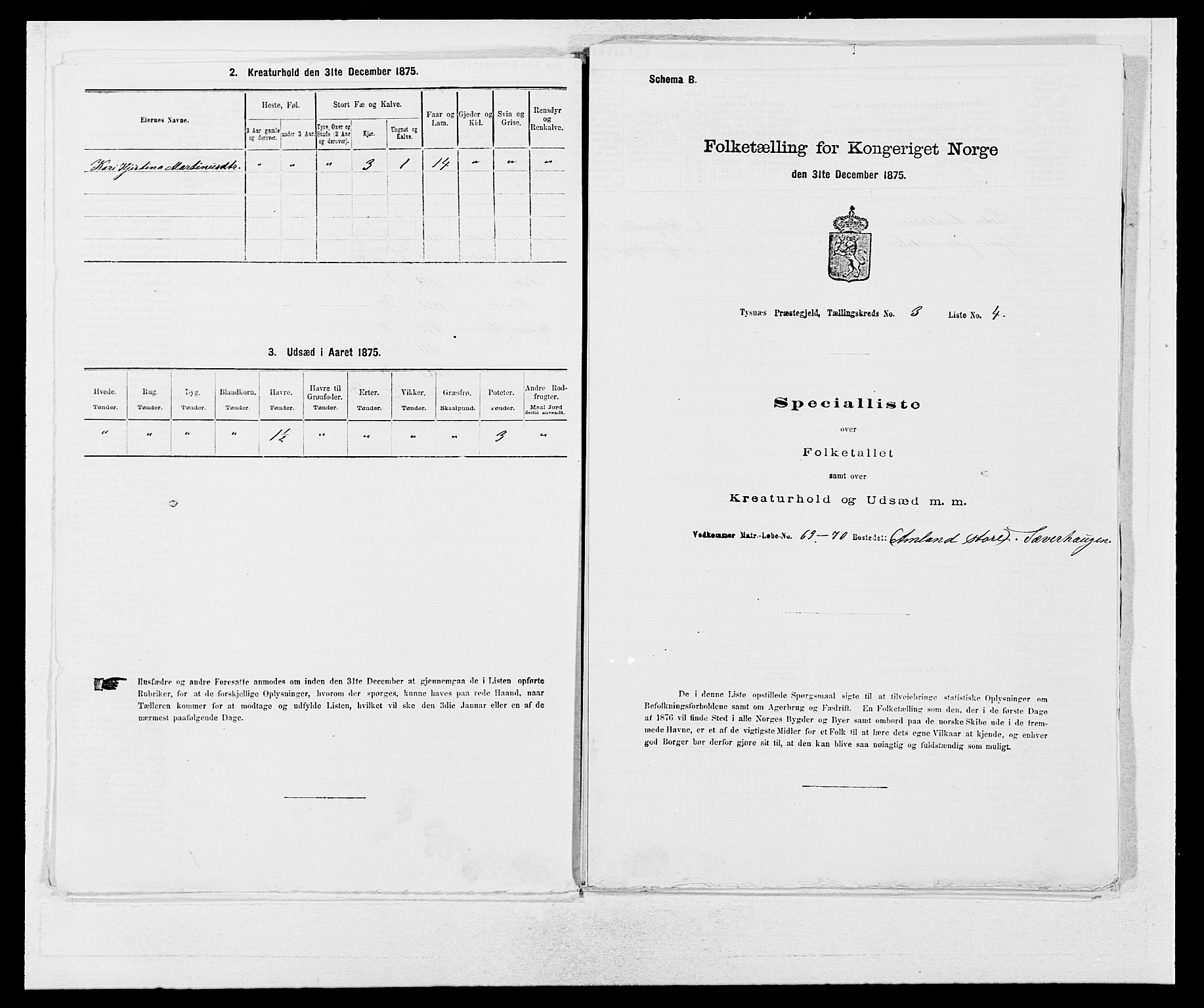 SAB, 1875 census for 1223P Tysnes, 1875, p. 226