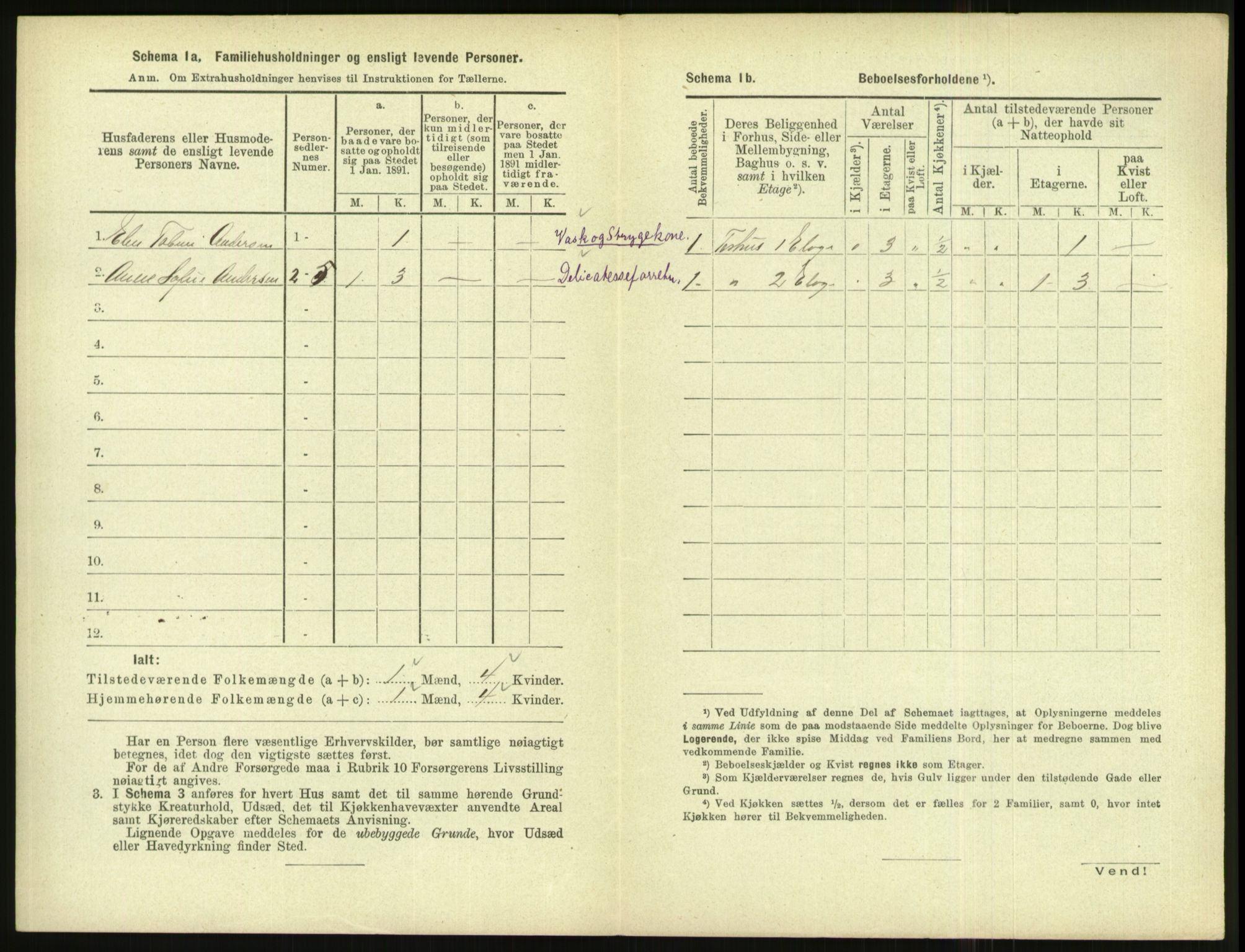 RA, 1891 census for 1004 Flekkefjord, 1891, p. 219