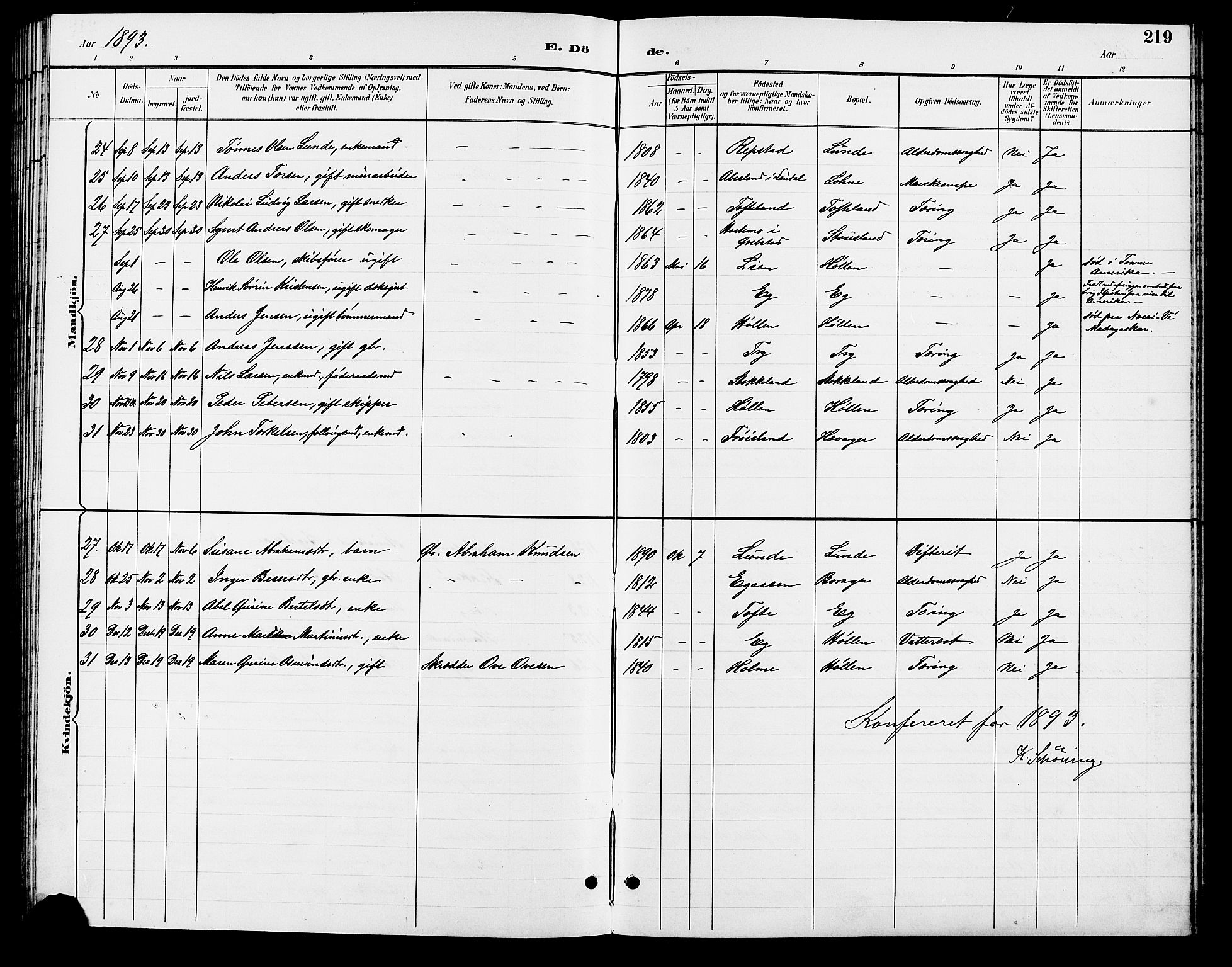 Søgne sokneprestkontor, SAK/1111-0037/F/Fb/Fbb/L0006: Parish register (copy) no. B 6, 1892-1911, p. 219