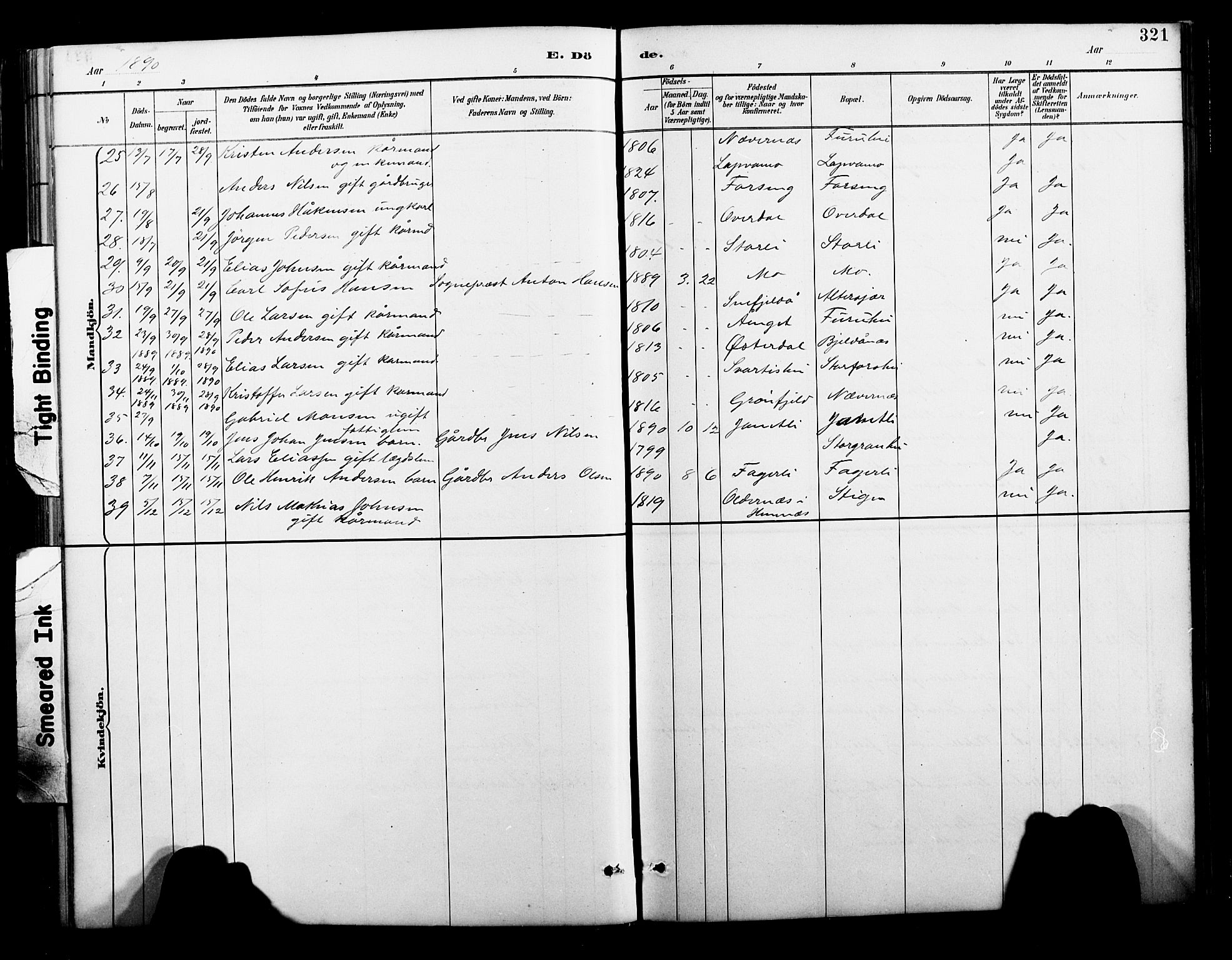 Ministerialprotokoller, klokkerbøker og fødselsregistre - Nordland, AV/SAT-A-1459/827/L0421: Parish register (copy) no. 827C10, 1887-1906, p. 321