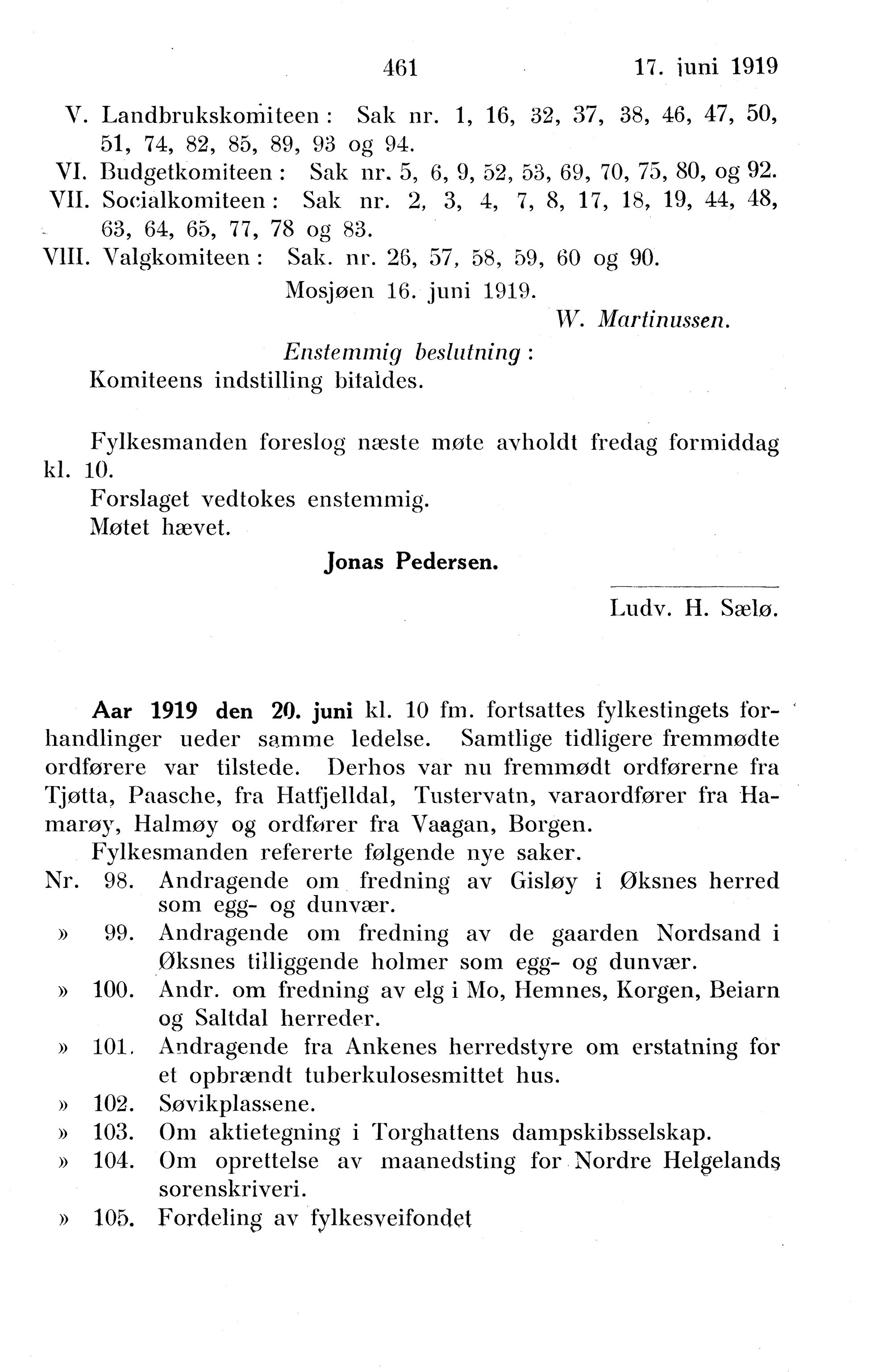 Nordland Fylkeskommune. Fylkestinget, AIN/NFK-17/176/A/Ac/L0042: Fylkestingsforhandlinger 1919, 1919, p. 461