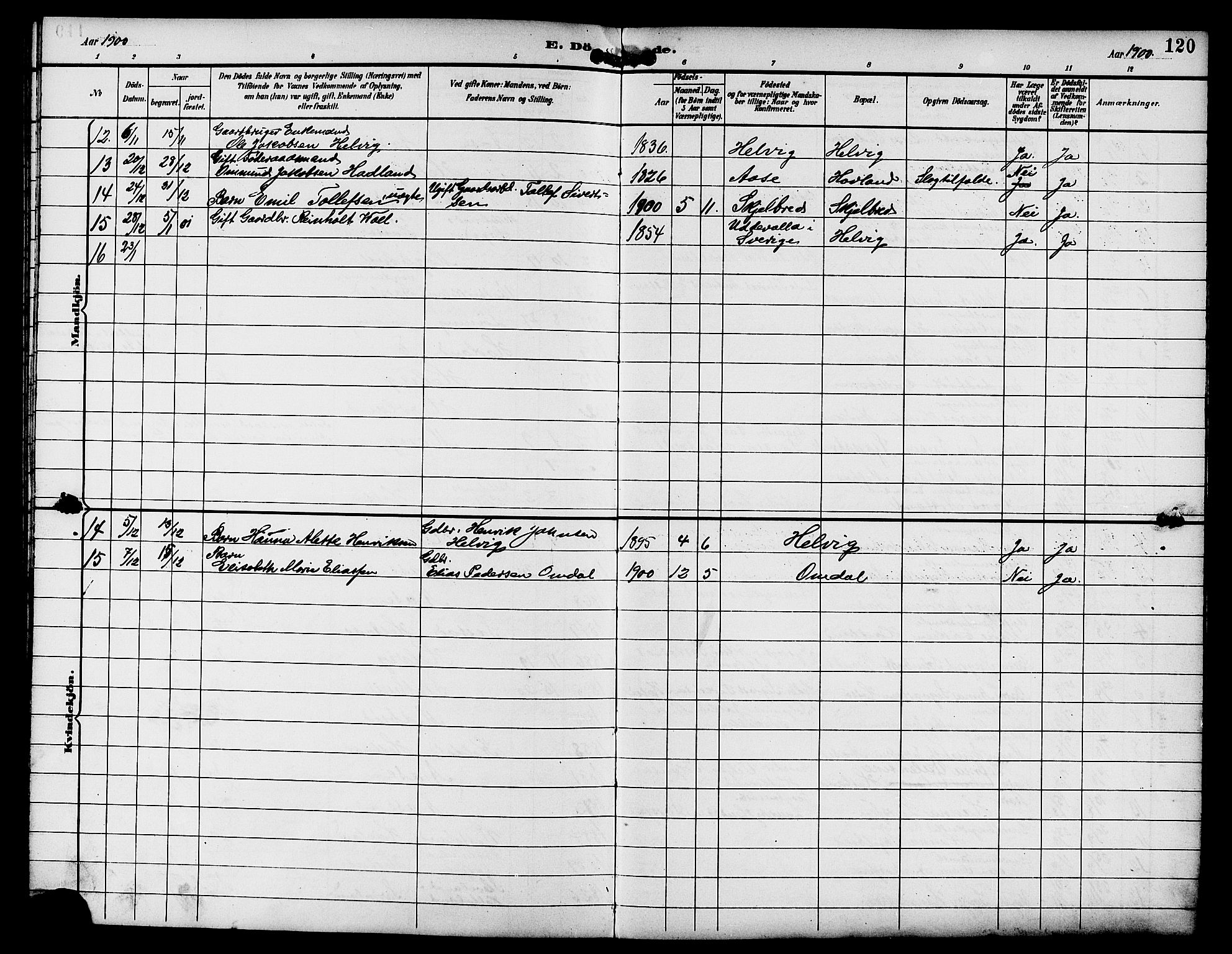 Eigersund sokneprestkontor, AV/SAST-A-101807/S09/L0009: Parish register (copy) no. B 9, 1893-1907, p. 120