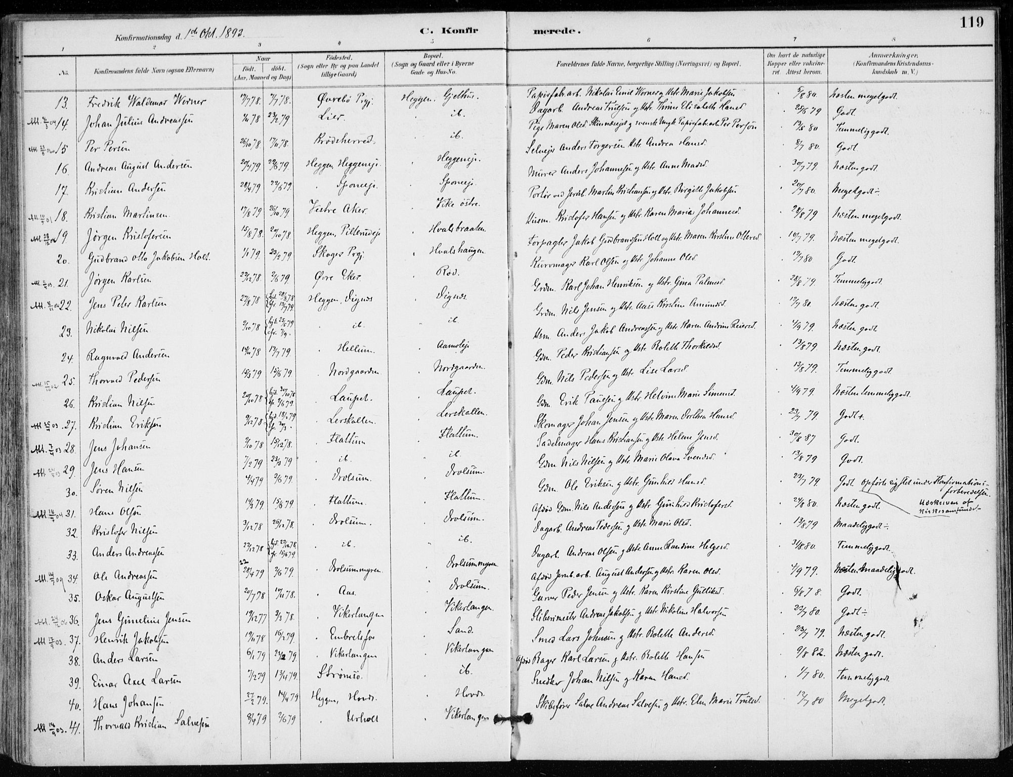 Modum kirkebøker, AV/SAKO-A-234/F/Fa/L0012: Parish register (official) no. 12, 1890-1898, p. 119