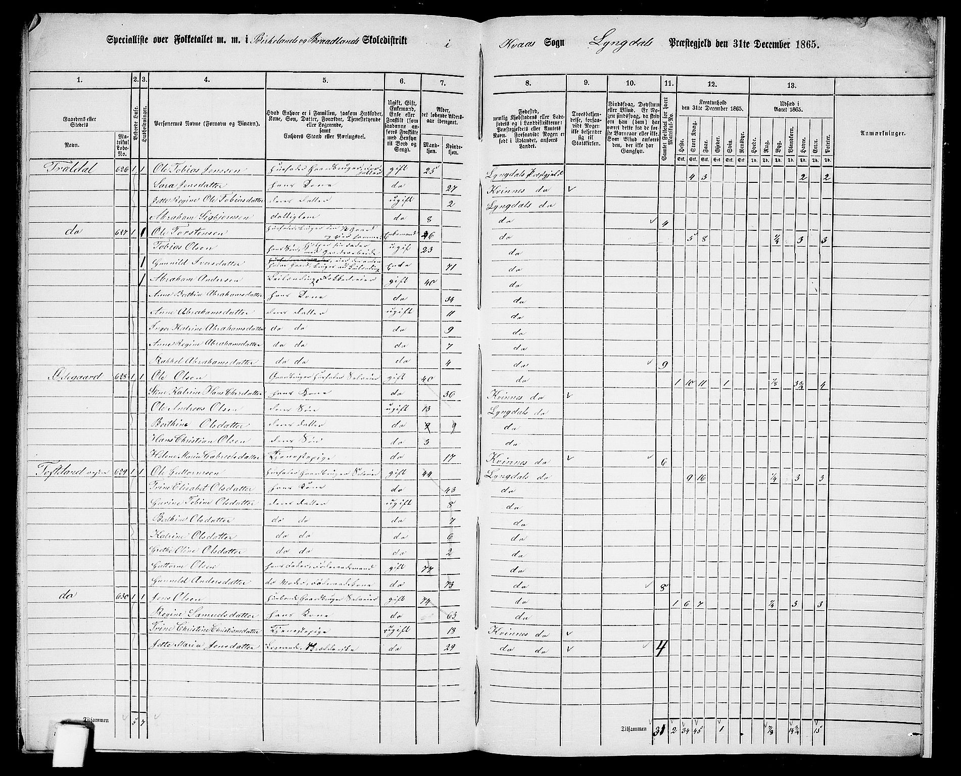 RA, 1865 census for Lyngdal, 1865, p. 251