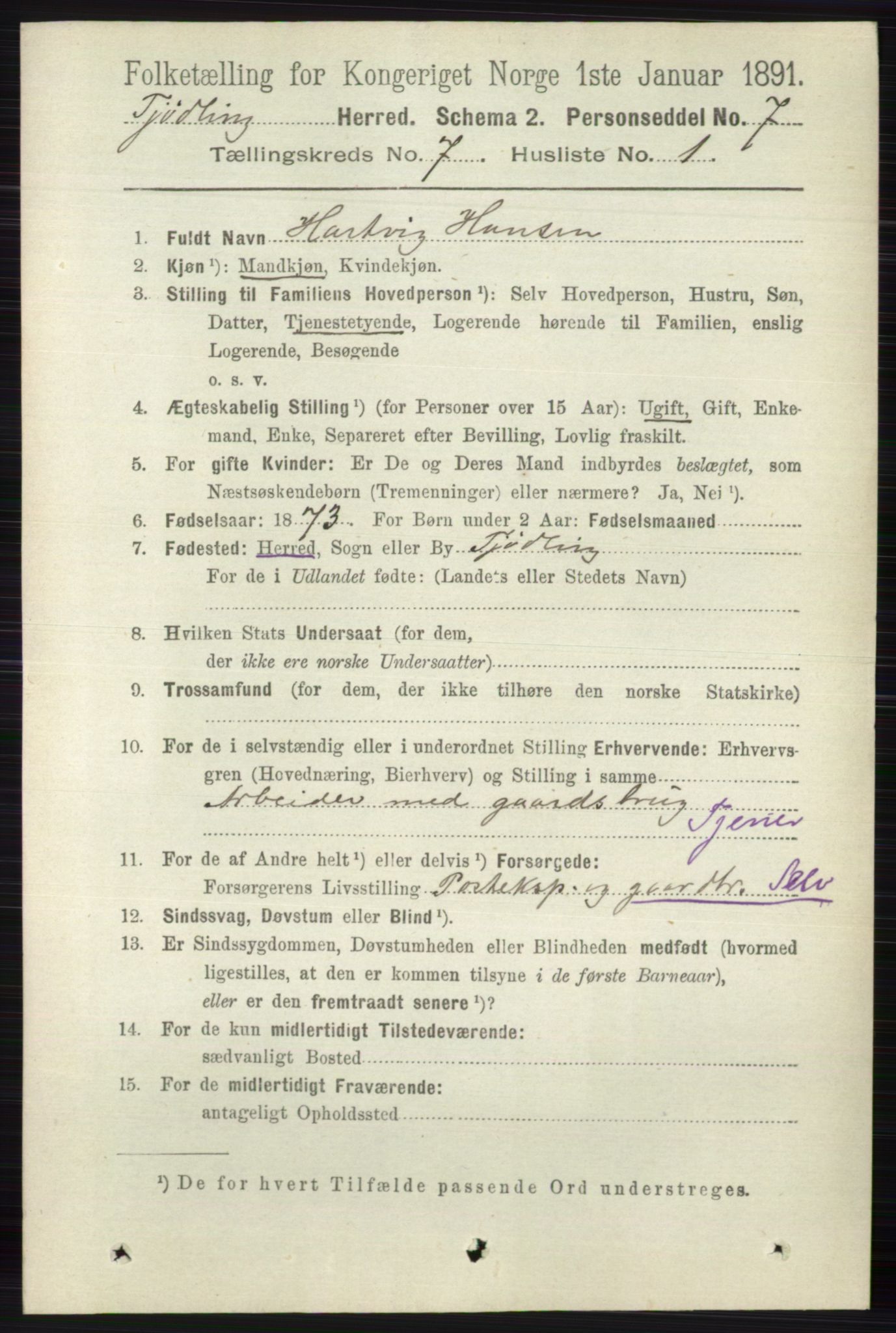 RA, 1891 census for 0725 Tjølling, 1891, p. 3673