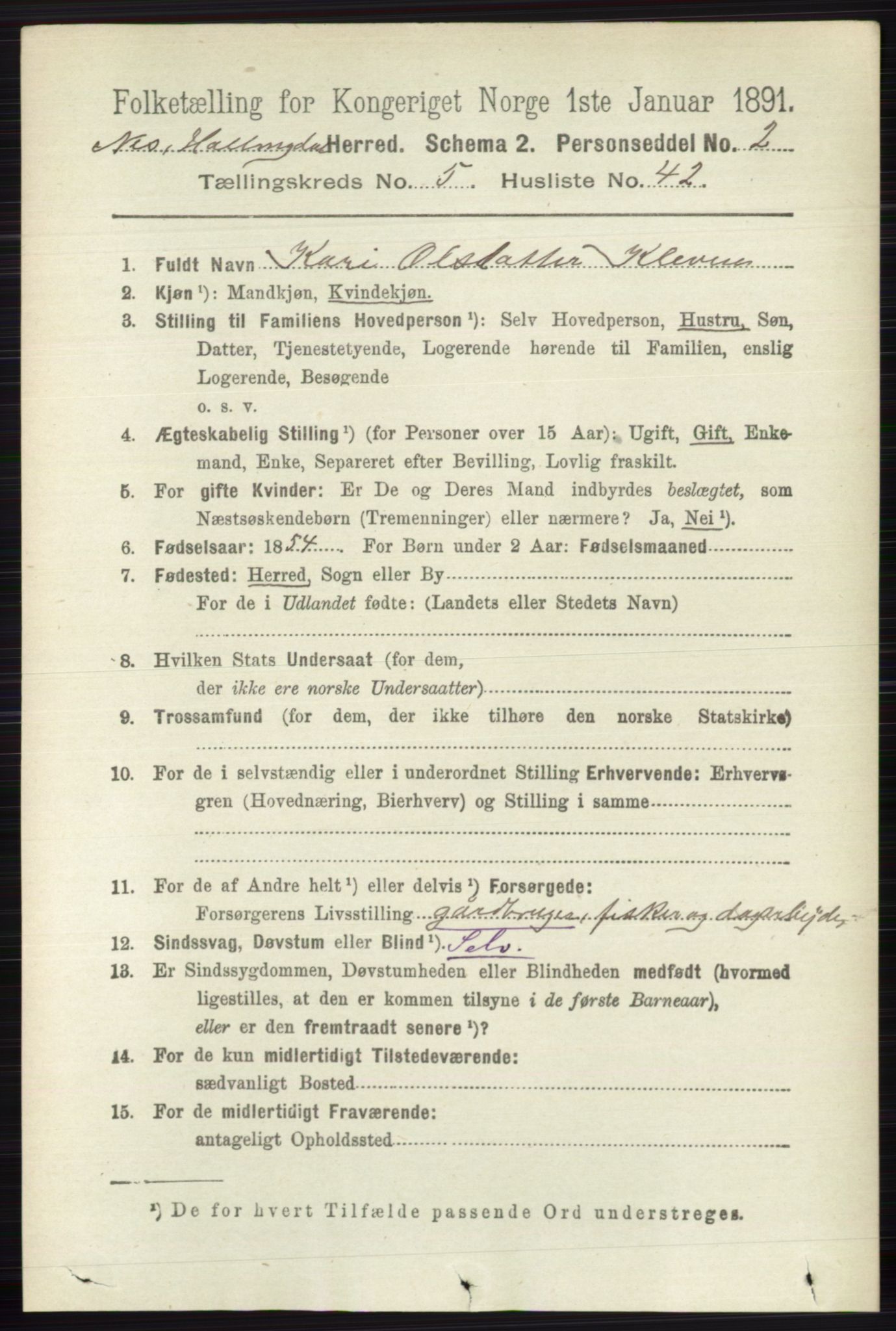 RA, 1891 census for 0616 Nes, 1891, p. 2861