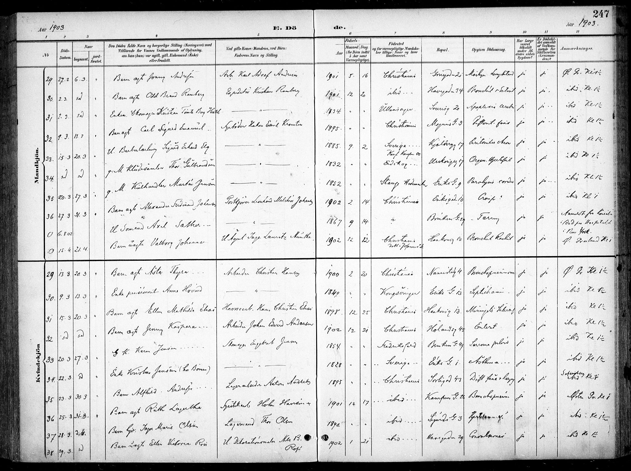 Kampen prestekontor Kirkebøker, AV/SAO-A-10853/F/Fa/L0009: Parish register (official) no. I 9, 1899-1911, p. 247