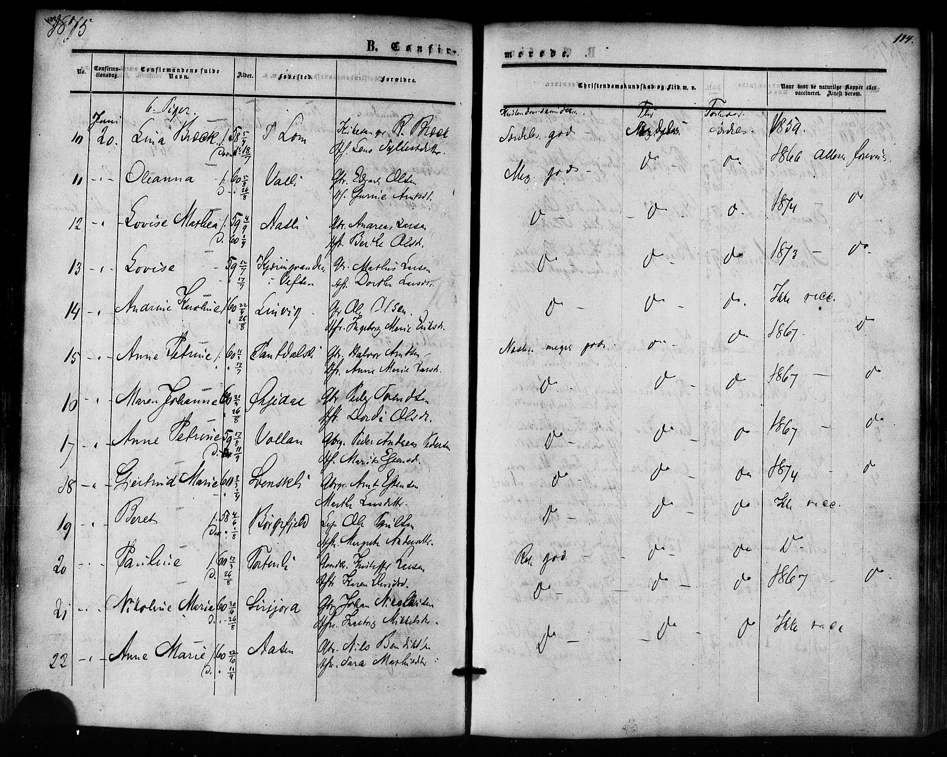 Ministerialprotokoller, klokkerbøker og fødselsregistre - Nordland, AV/SAT-A-1459/823/L0324: Parish register (official) no. 823A01, 1860-1878, p. 114