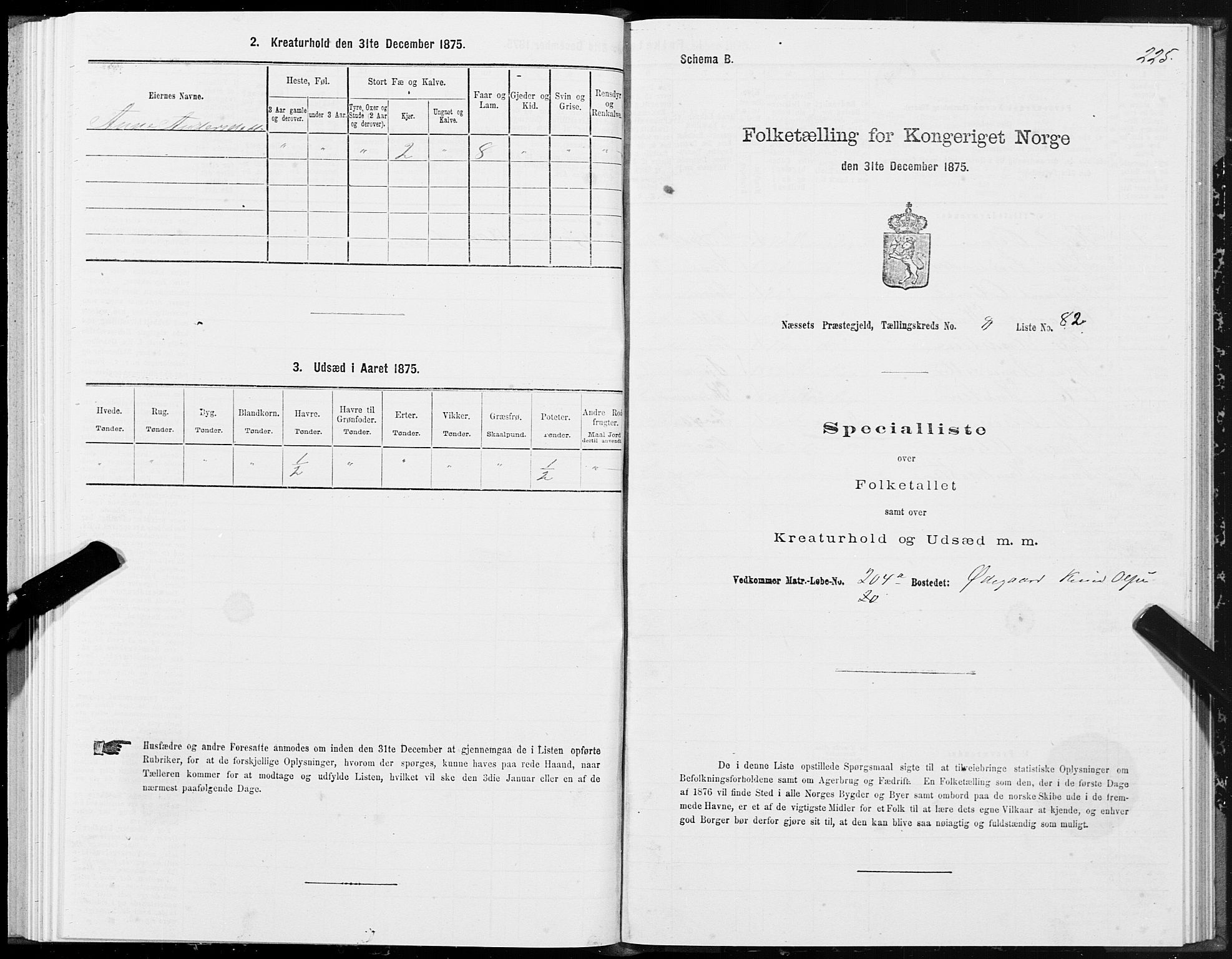 SAT, 1875 census for 1543P Nesset, 1875, p. 4225