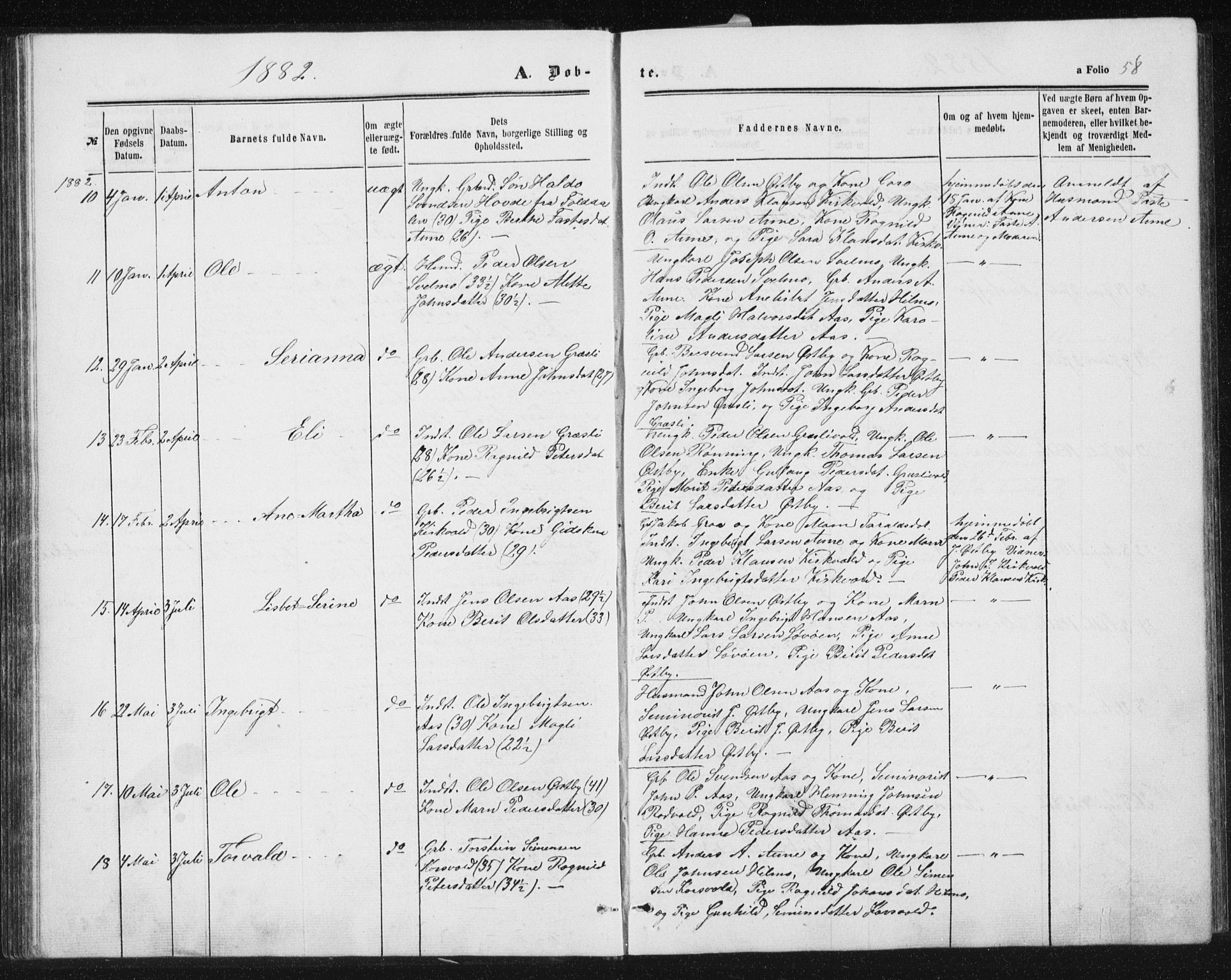 Ministerialprotokoller, klokkerbøker og fødselsregistre - Sør-Trøndelag, AV/SAT-A-1456/698/L1166: Parish register (copy) no. 698C03, 1861-1887, p. 58