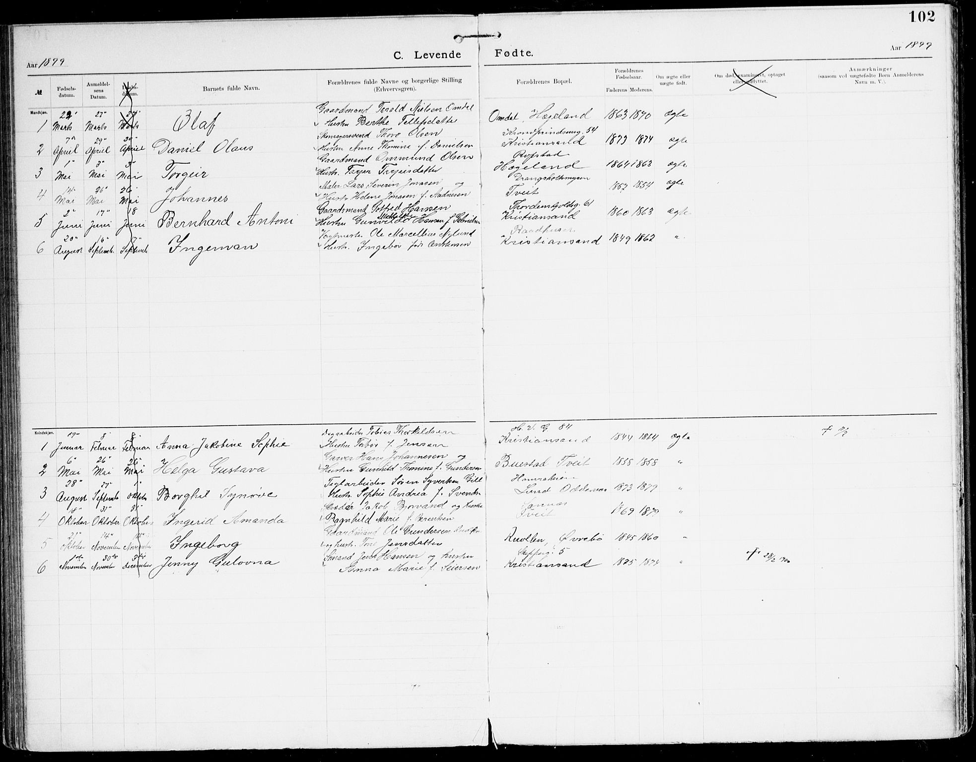 Den evangelisk-lutherske frikirke, Kristiansand, AV/SAK-1292-0017/F/Fa/L0003: Dissenter register no. F 11, 1892-1925, p. 102