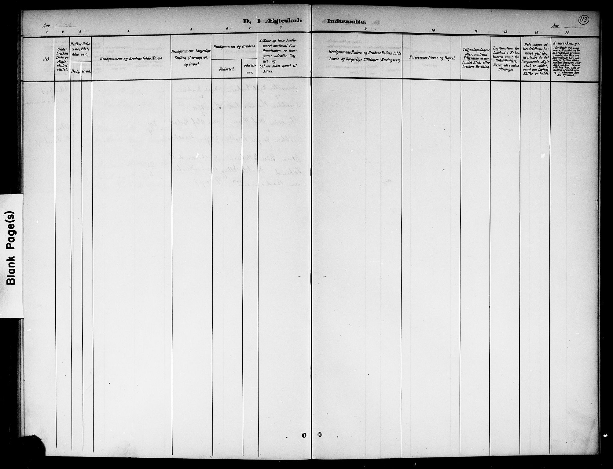 Hole kirkebøker, AV/SAKO-A-228/G/Gb/L0004: Parish register (copy) no. II 4, 1901-1916, p. 113