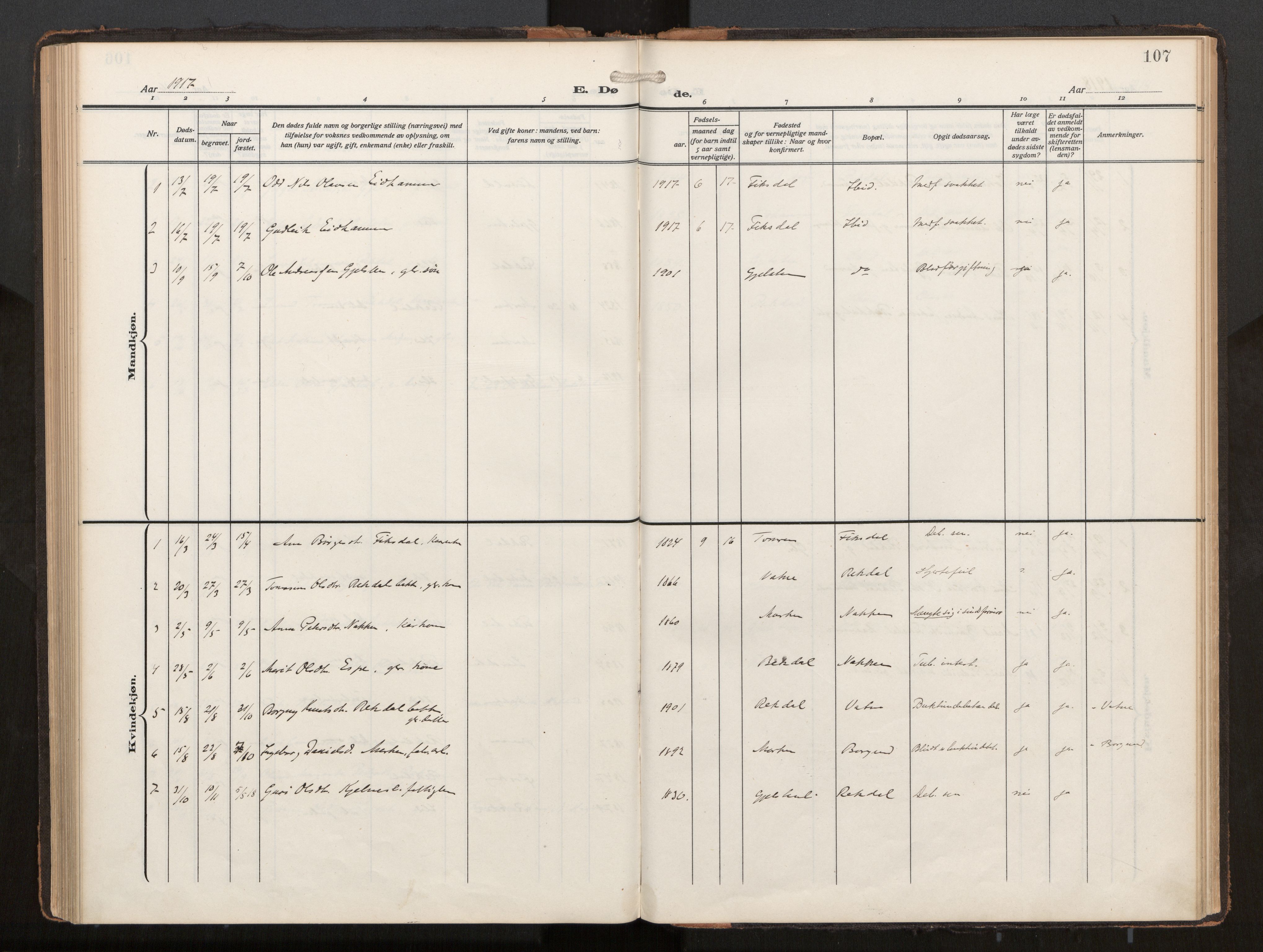 Ministerialprotokoller, klokkerbøker og fødselsregistre - Møre og Romsdal, AV/SAT-A-1454/540/L0540b: Parish register (official) no. 540A03, 1909-1932, p. 107