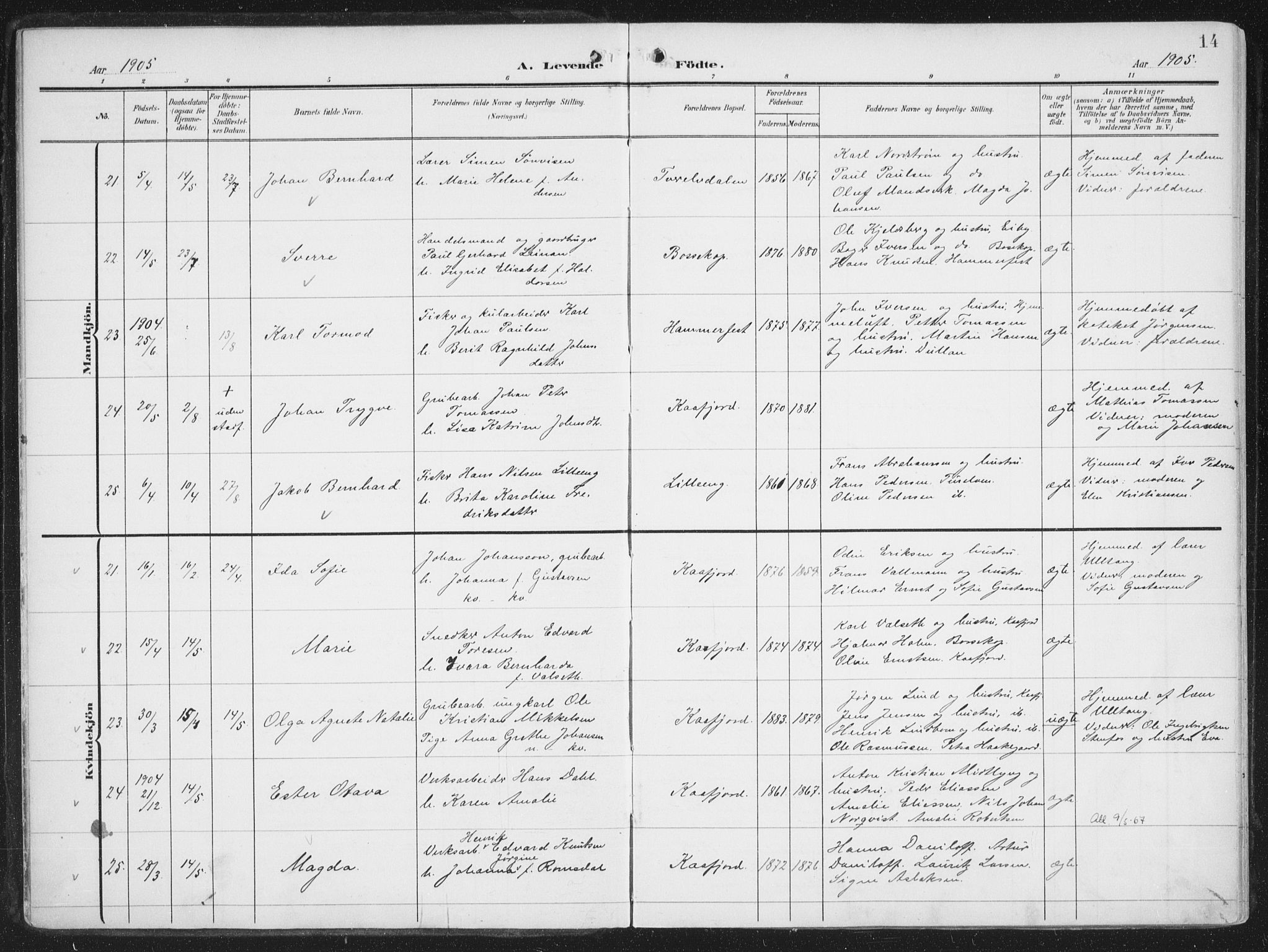 Alta sokneprestkontor, SATØ/S-1338/H/Ha/L0005.kirke: Parish register (official) no. 5, 1904-1918, p. 14