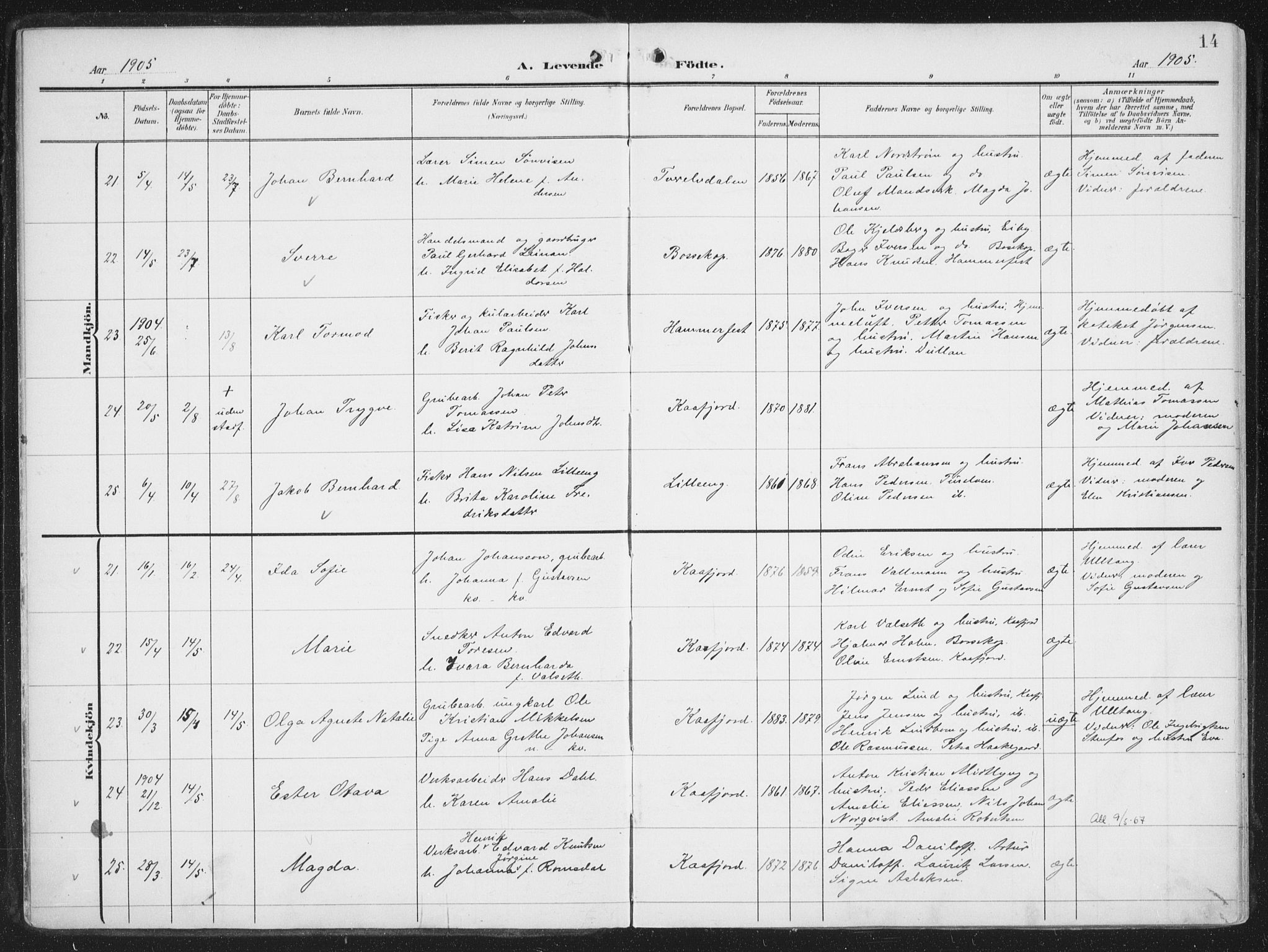 Alta sokneprestkontor, AV/SATØ-S-1338/H/Ha/L0005.kirke: Parish register (official) no. 5, 1904-1918, p. 14