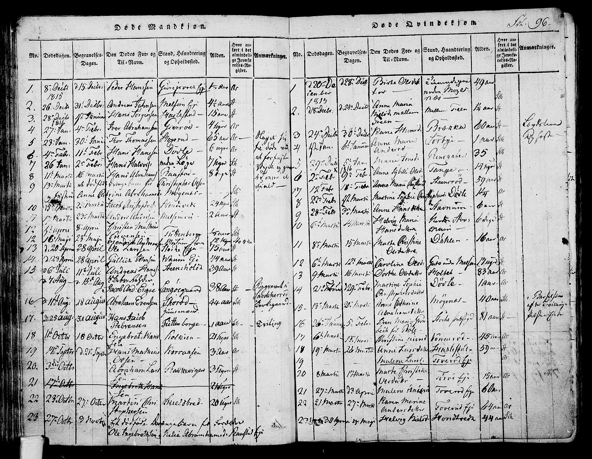 Stokke kirkebøker, SAKO/A-320/F/Fa/L0005: Parish register (official) no. I 5, 1815-1826, p. 96
