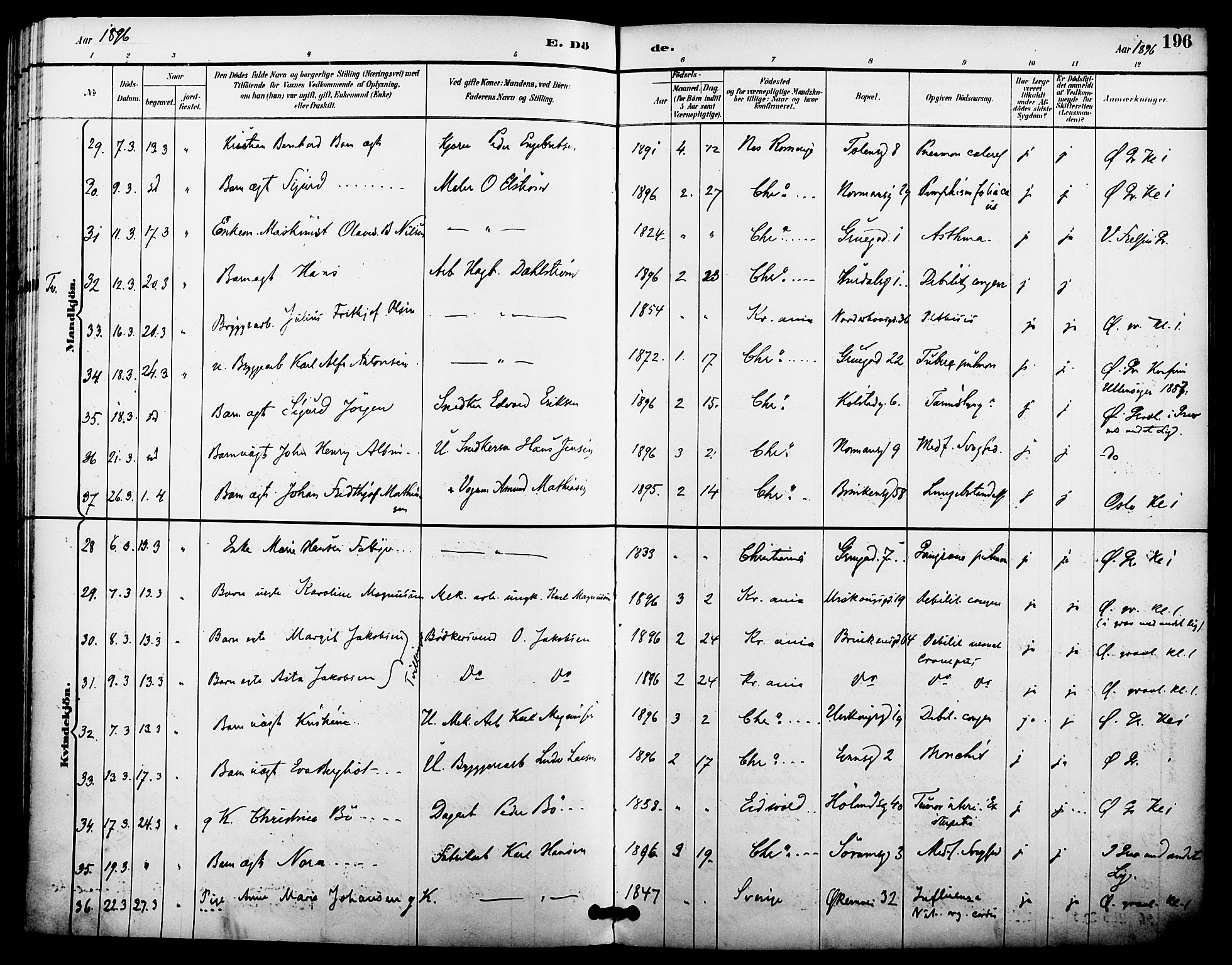 Kampen prestekontor Kirkebøker, SAO/A-10853/F/Fa/L0008: Parish register (official) no. I 8, 1892-1902, p. 196