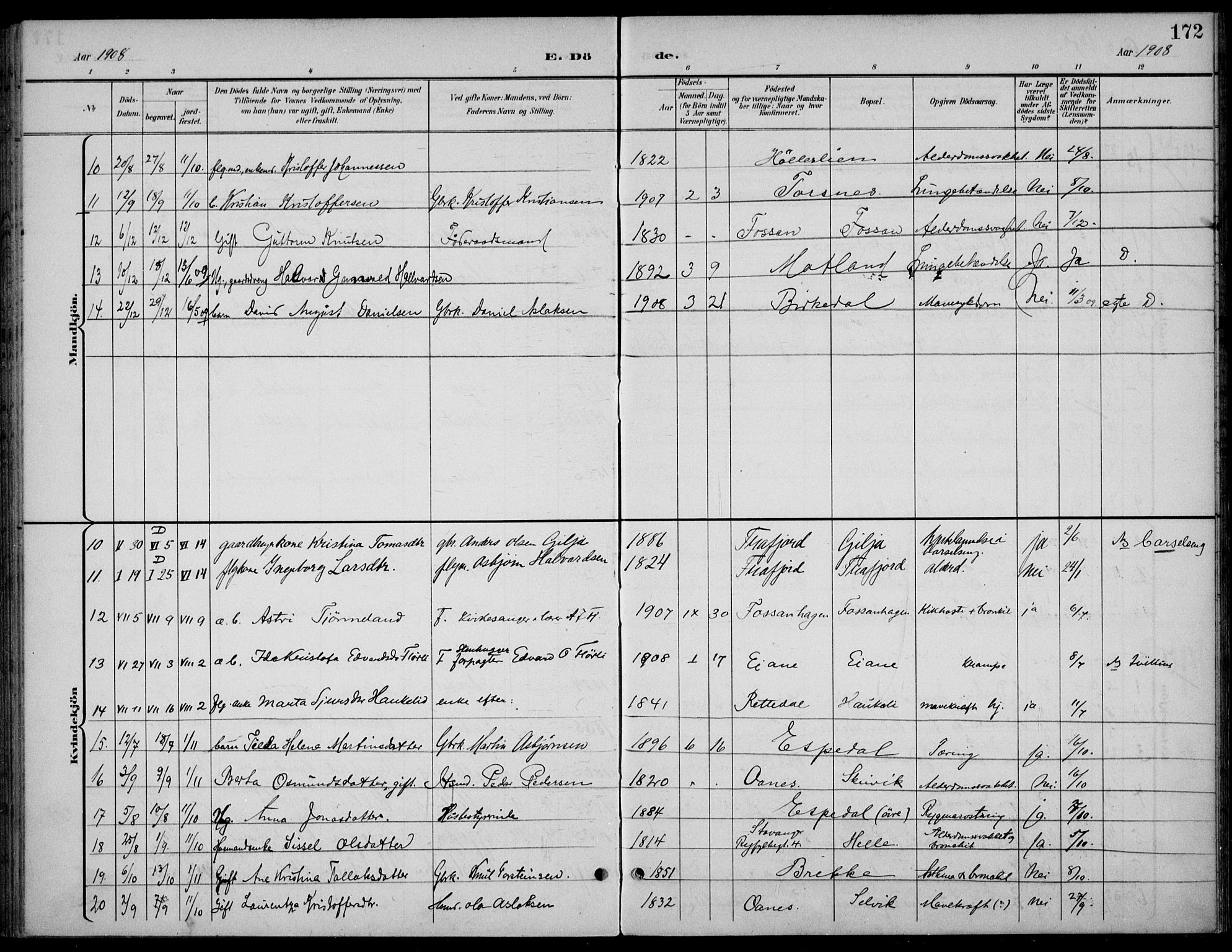 Høgsfjord sokneprestkontor, AV/SAST-A-101624/H/Ha/Haa/L0007: Parish register (official) no. A 7, 1898-1917, p. 172