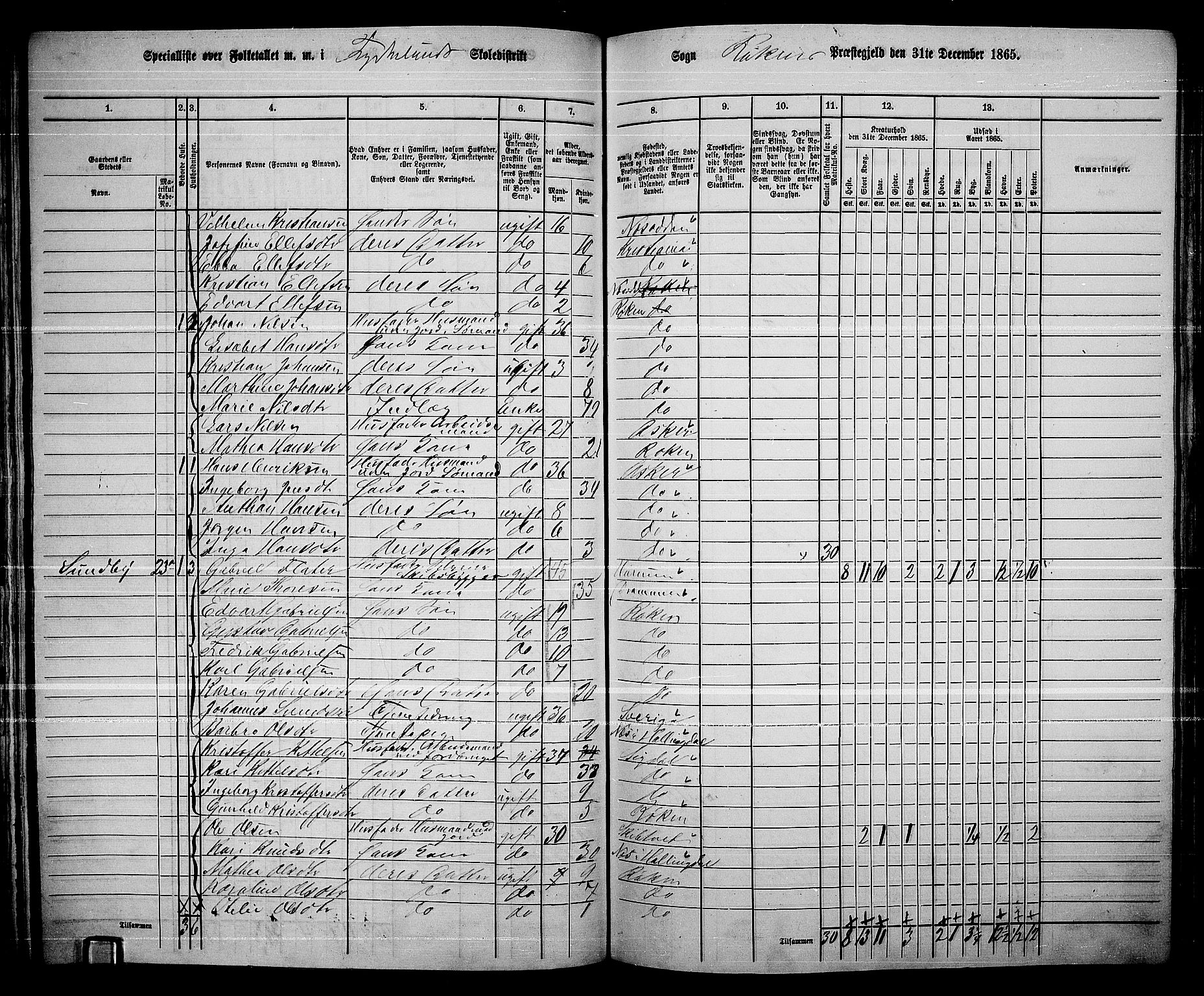 RA, 1865 census for Røyken, 1865, p. 88