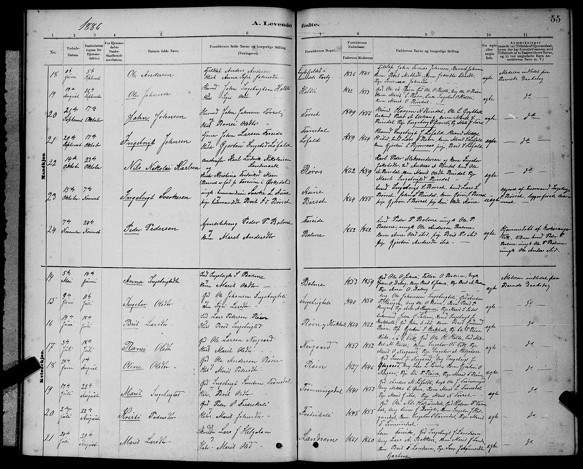 Ministerialprotokoller, klokkerbøker og fødselsregistre - Møre og Romsdal, AV/SAT-A-1454/598/L1077: Parish register (copy) no. 598C02, 1879-1891, p. 55