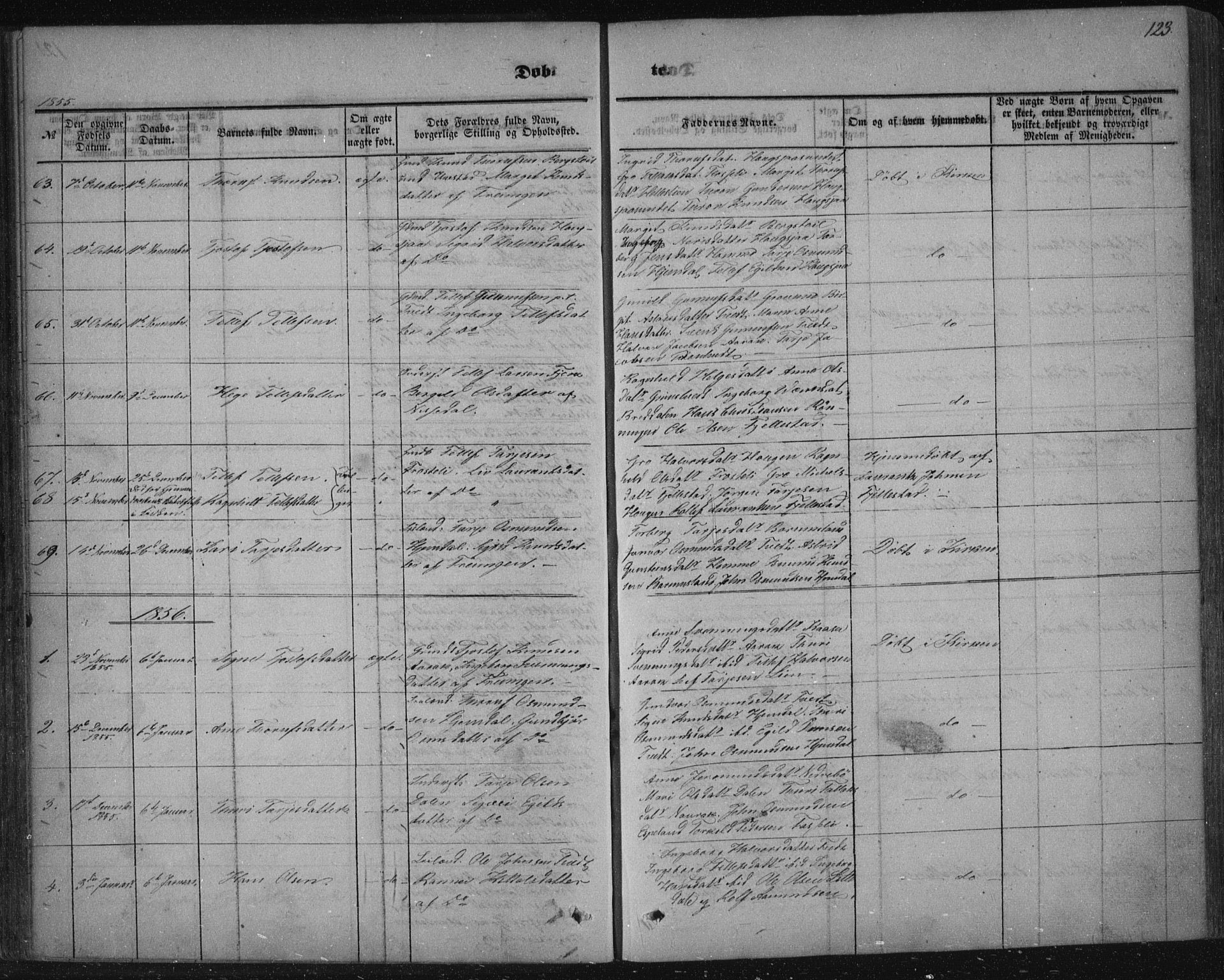 Nissedal kirkebøker, AV/SAKO-A-288/F/Fa/L0003: Parish register (official) no. I 3, 1846-1870, p. 122-123