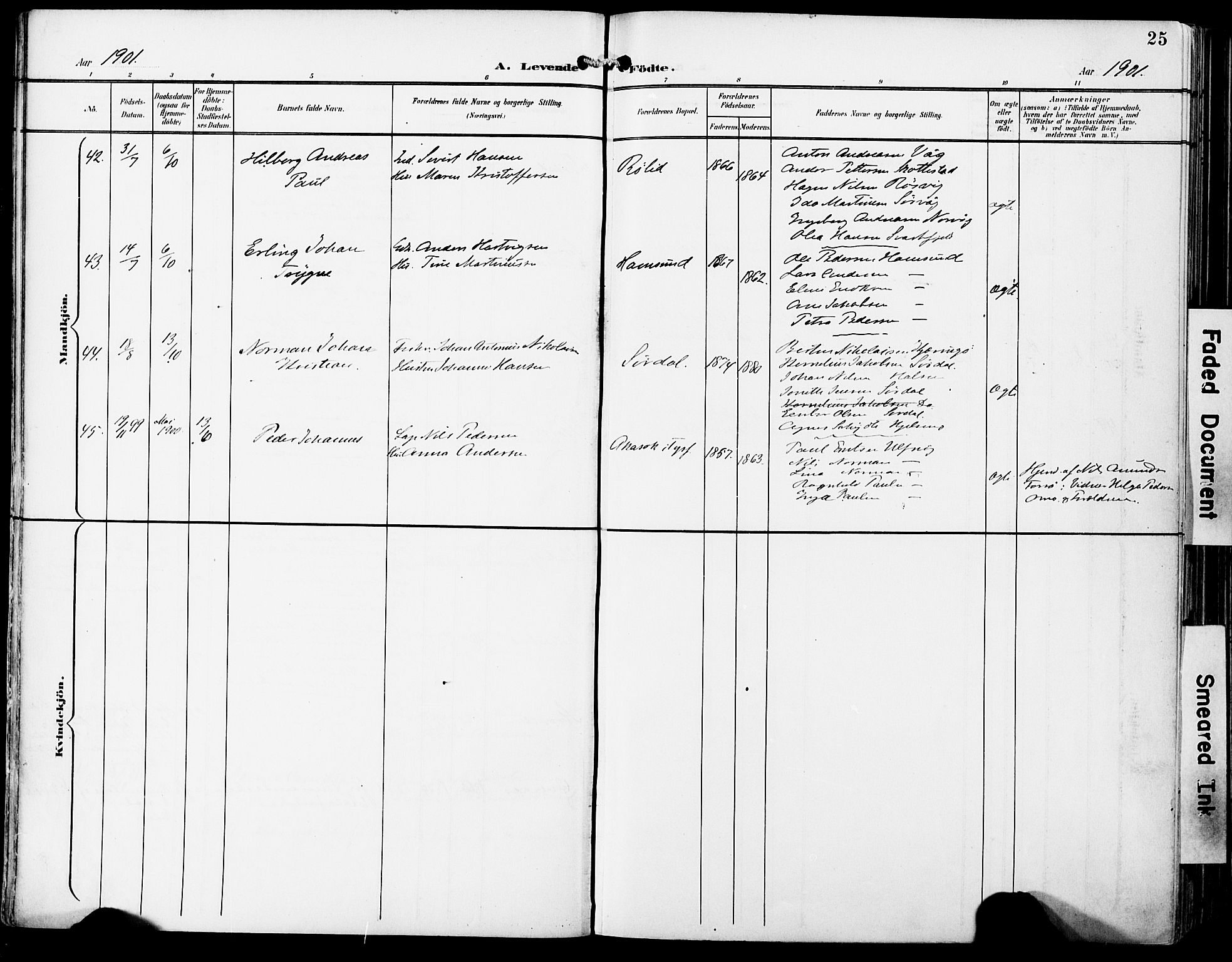 Ministerialprotokoller, klokkerbøker og fødselsregistre - Nordland, AV/SAT-A-1459/859/L0848: Parish register (official) no. 859A08, 1900-1912, p. 25