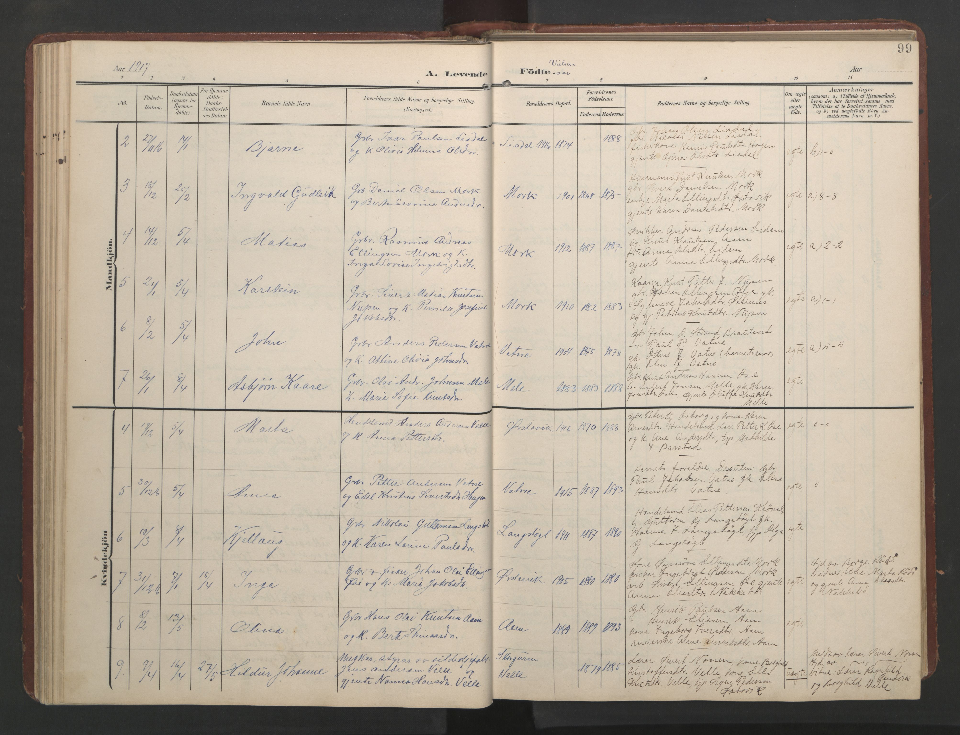 Ministerialprotokoller, klokkerbøker og fødselsregistre - Møre og Romsdal, AV/SAT-A-1454/513/L0190: Parish register (copy) no. 513C04, 1904-1926, p. 99