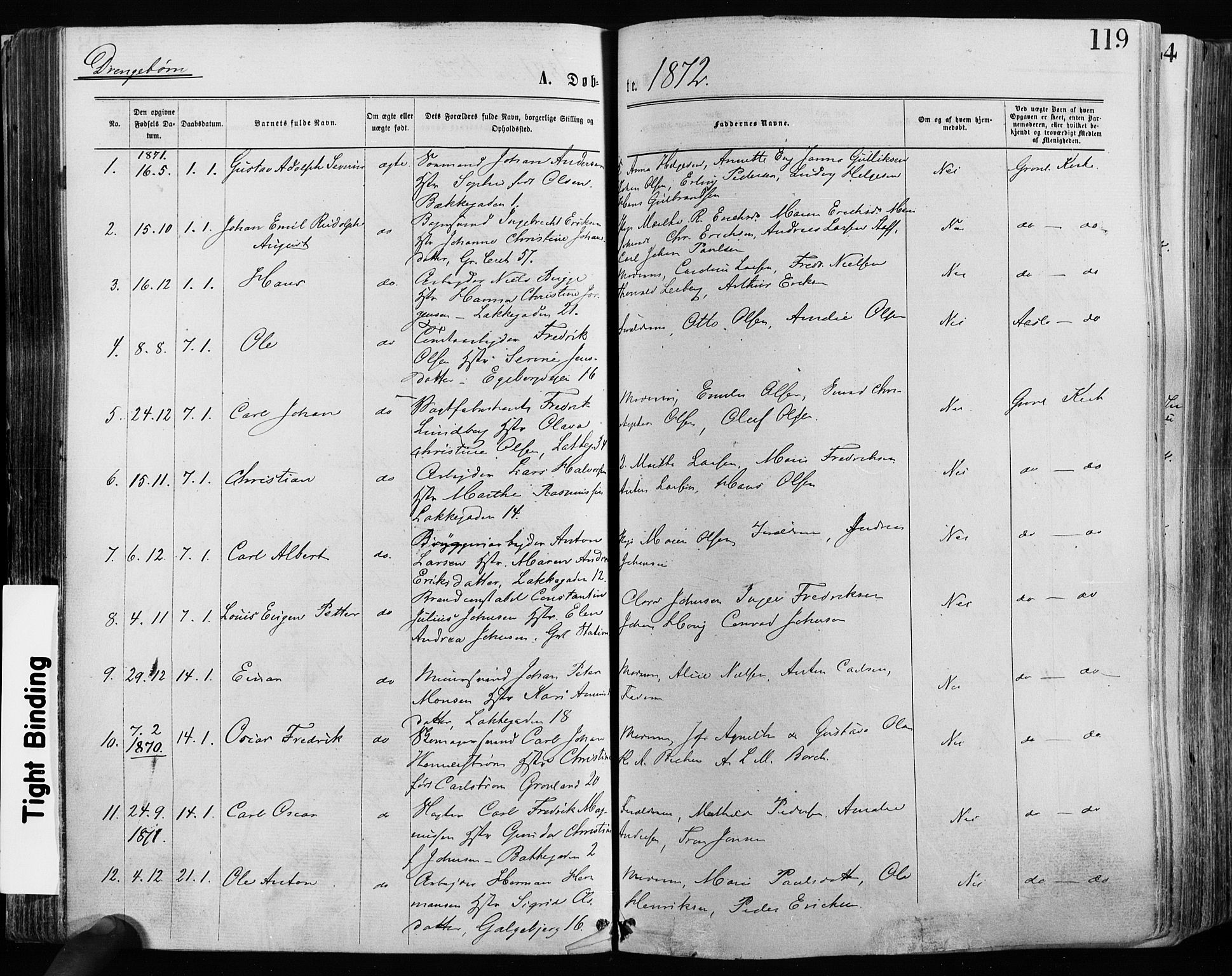 Grønland prestekontor Kirkebøker, AV/SAO-A-10848/F/Fa/L0004: Parish register (official) no. 4, 1869-1880, p. 119