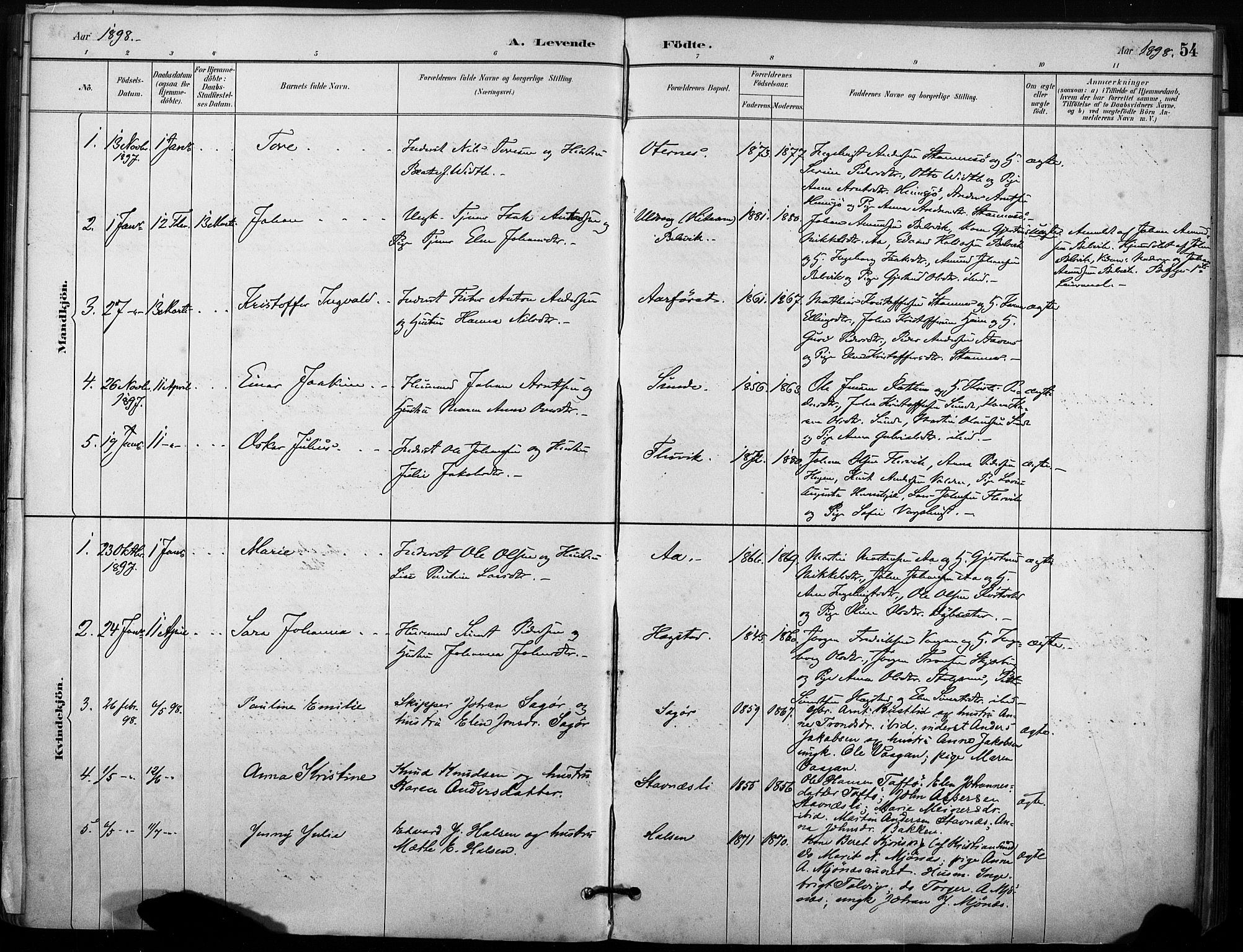 Ministerialprotokoller, klokkerbøker og fødselsregistre - Sør-Trøndelag, SAT/A-1456/633/L0518: Parish register (official) no. 633A01, 1884-1906, p. 54