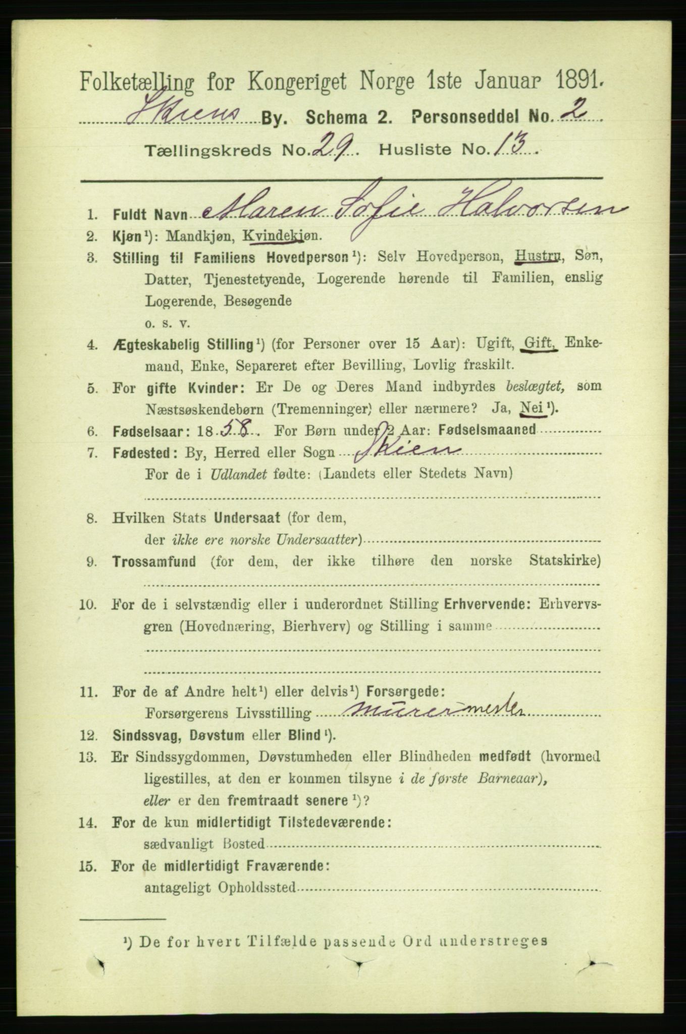 RA, 1891 census for 0806 Skien, 1891, p. 6804