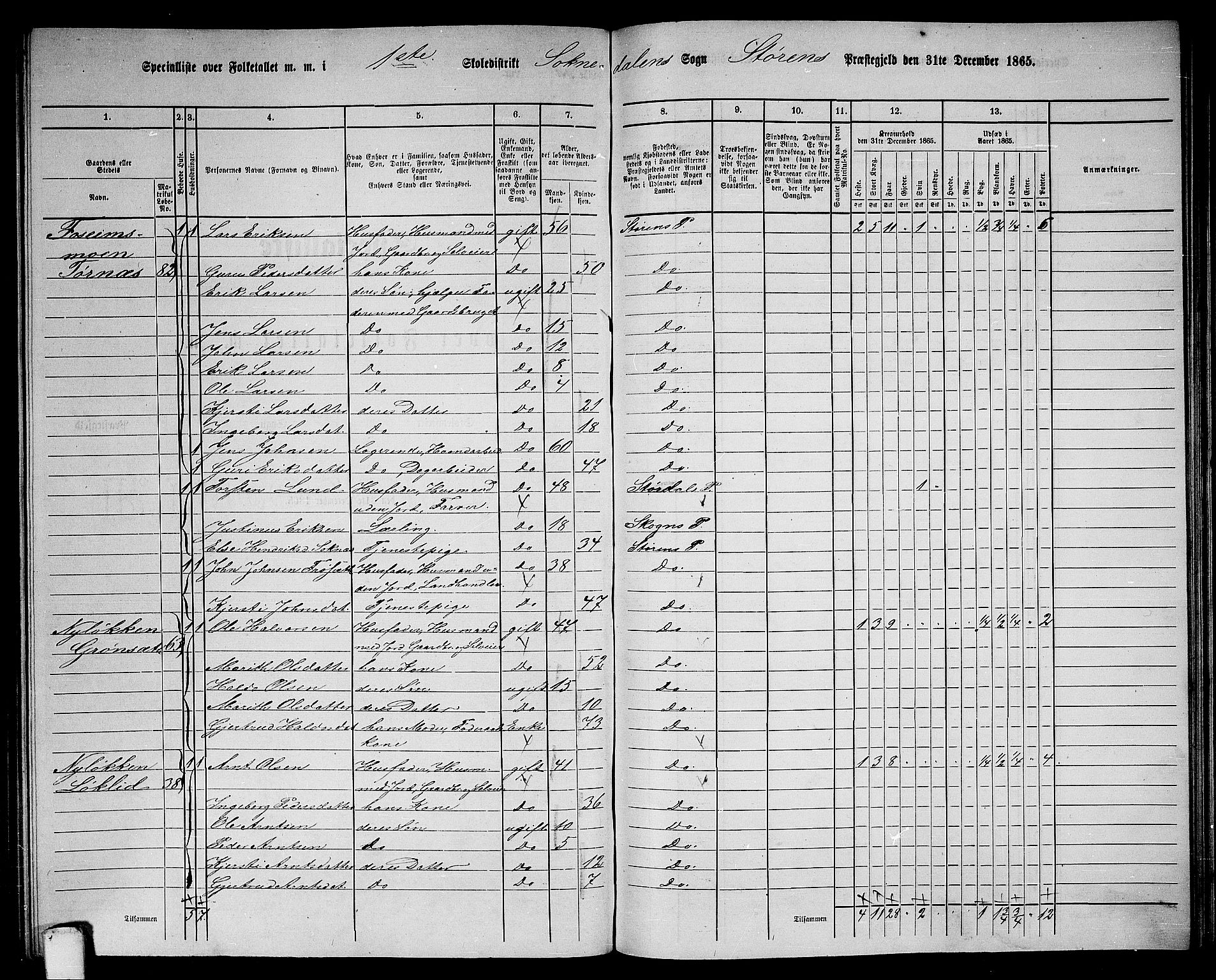 RA, 1865 census for Støren, 1865, p. 228