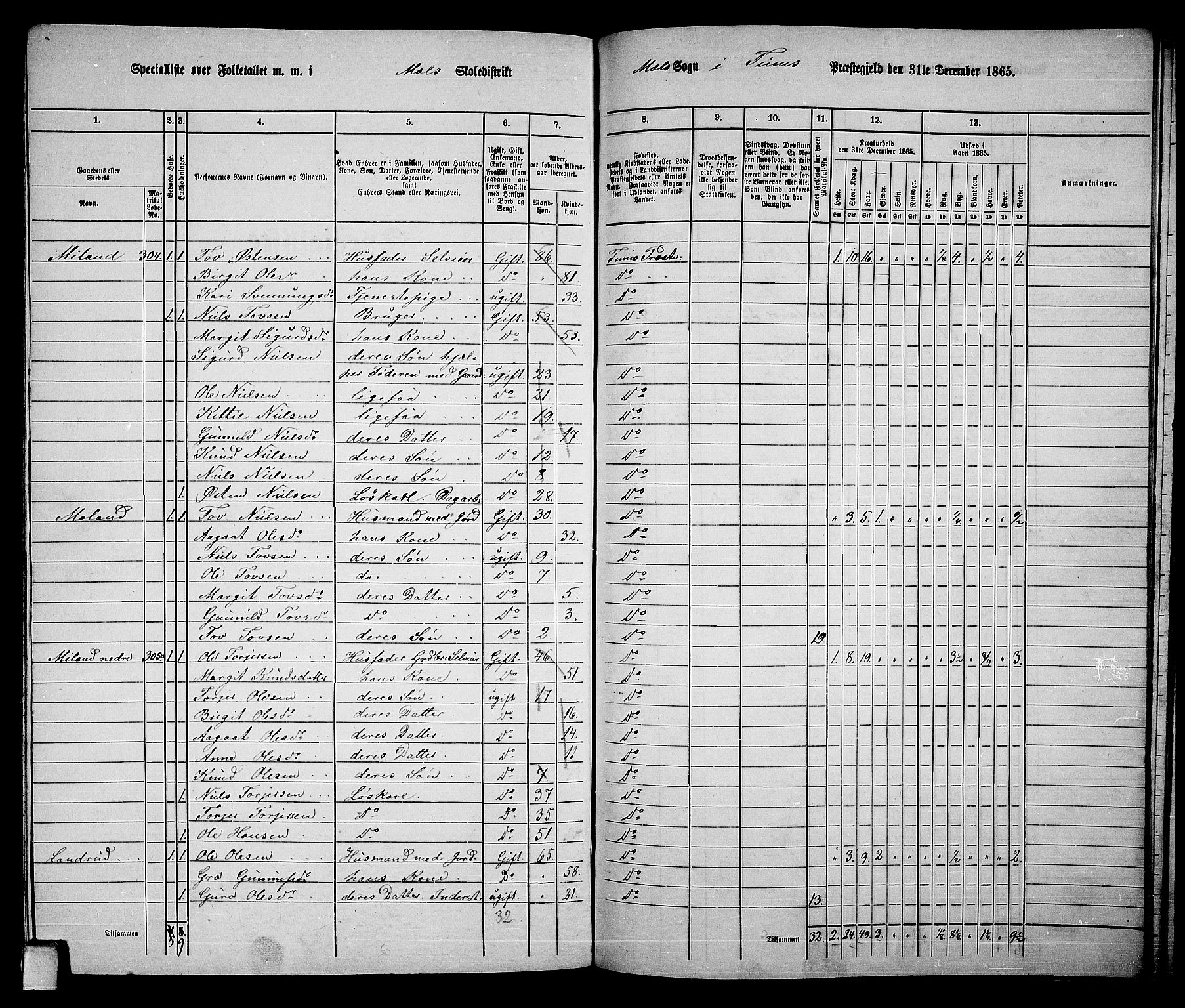 RA, 1865 census for Tinn, 1865, p. 95