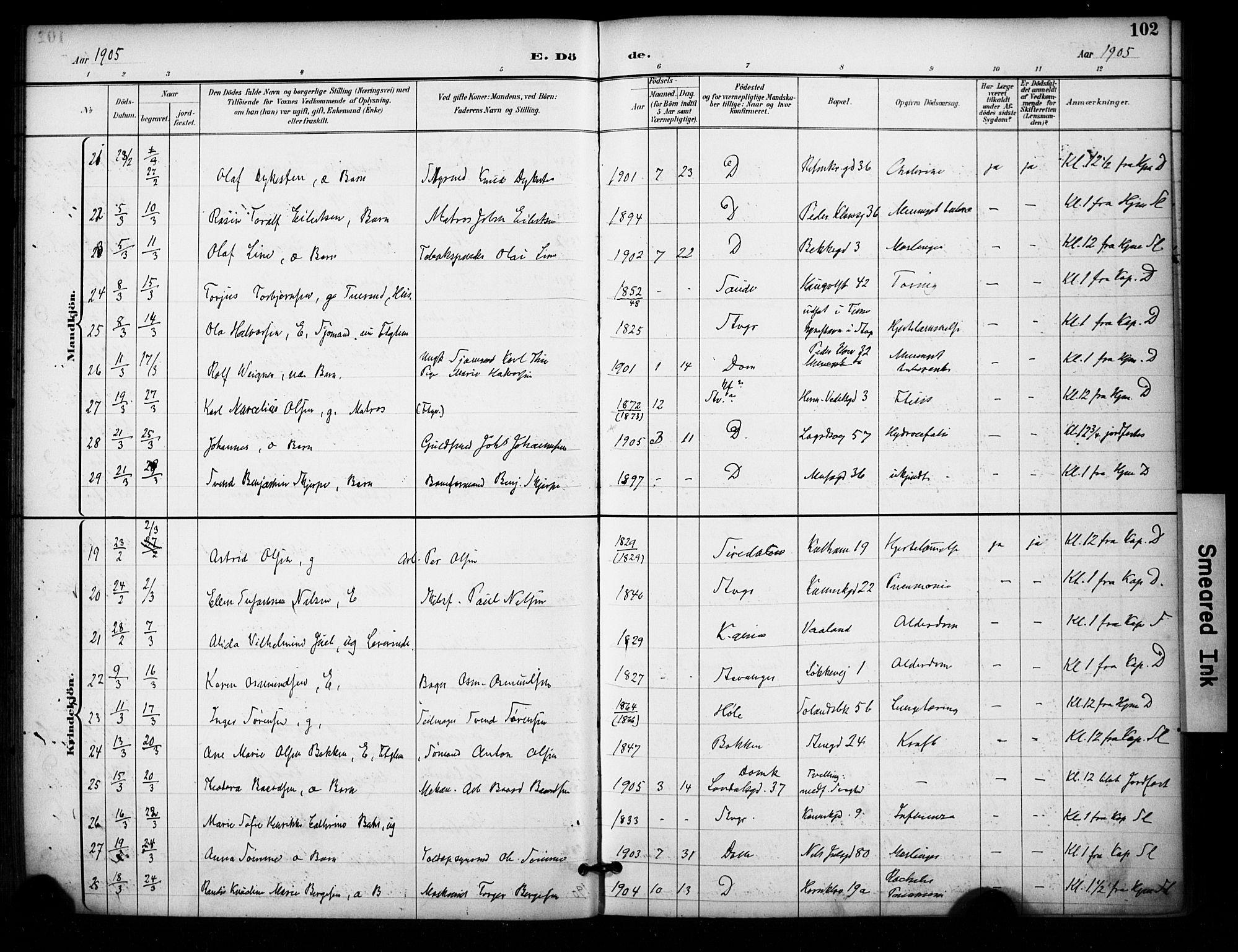 Domkirken sokneprestkontor, AV/SAST-A-101812/001/30/30BA/L0032: Parish register (official) no. A 31, 1896-1917, p. 102