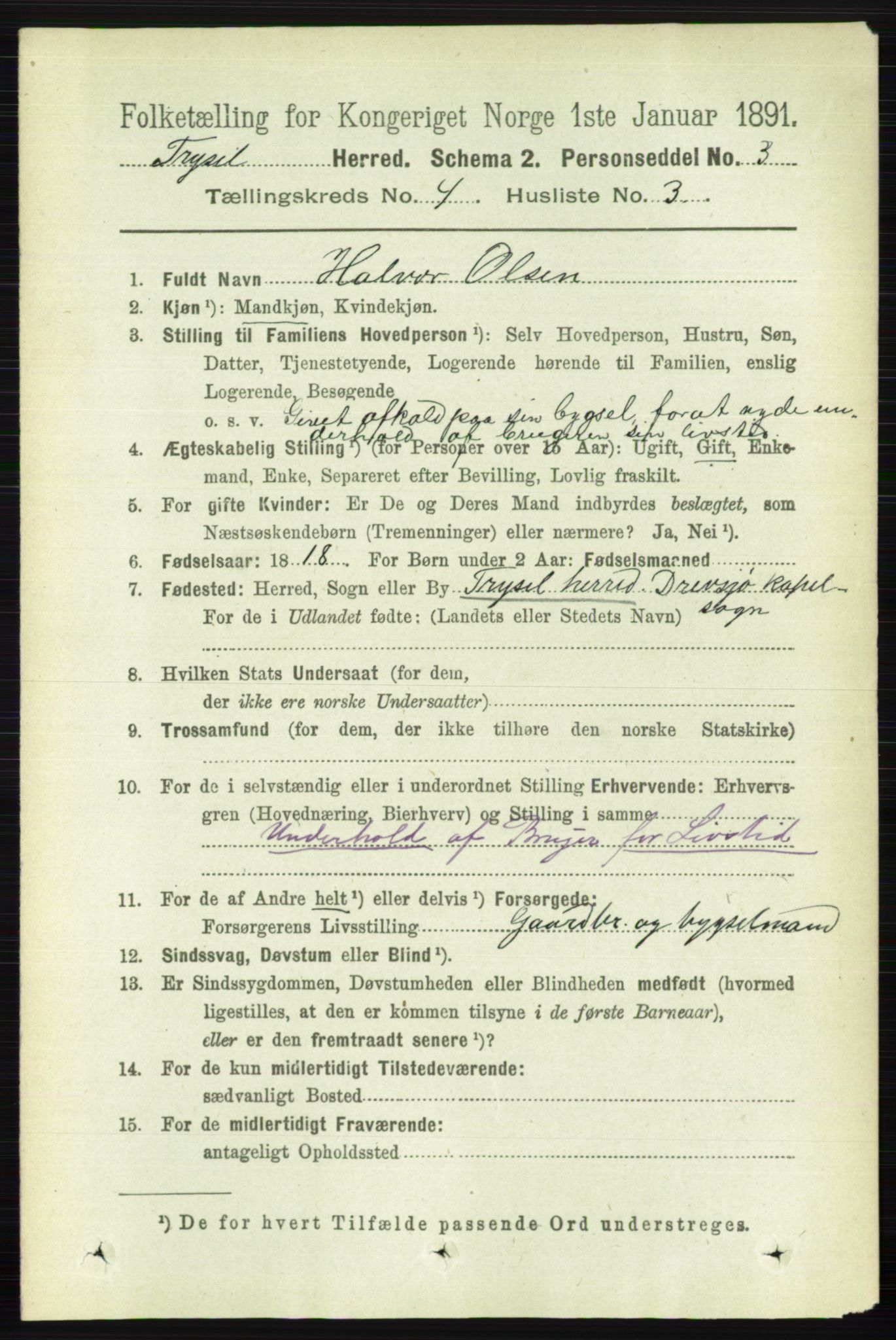 RA, 1891 census for 0428 Trysil, 1891, p. 1856