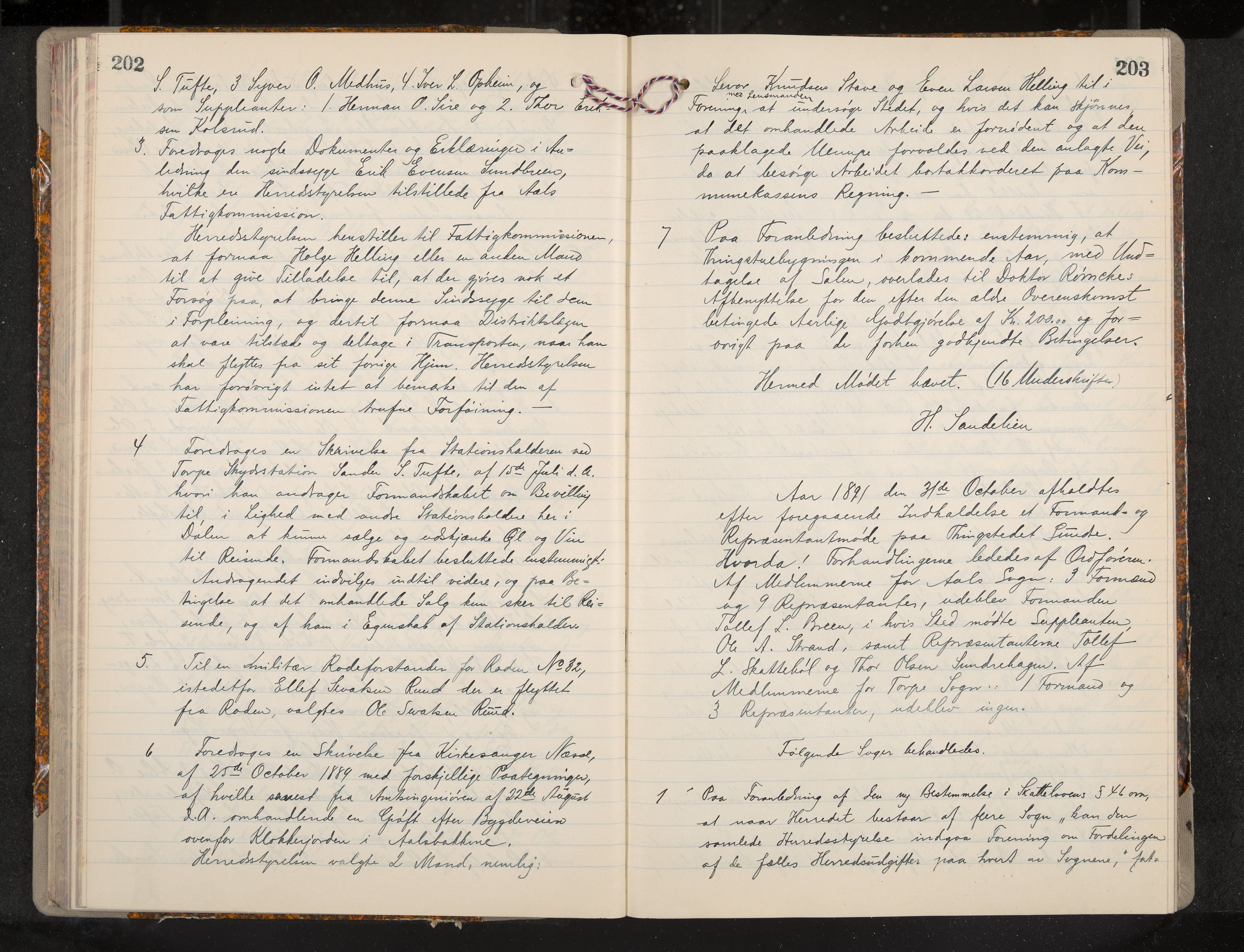 Ål formannskap og sentraladministrasjon, IKAK/0619021/A/Aa/L0004: Utskrift av møtebok, 1881-1901, p. 202-203