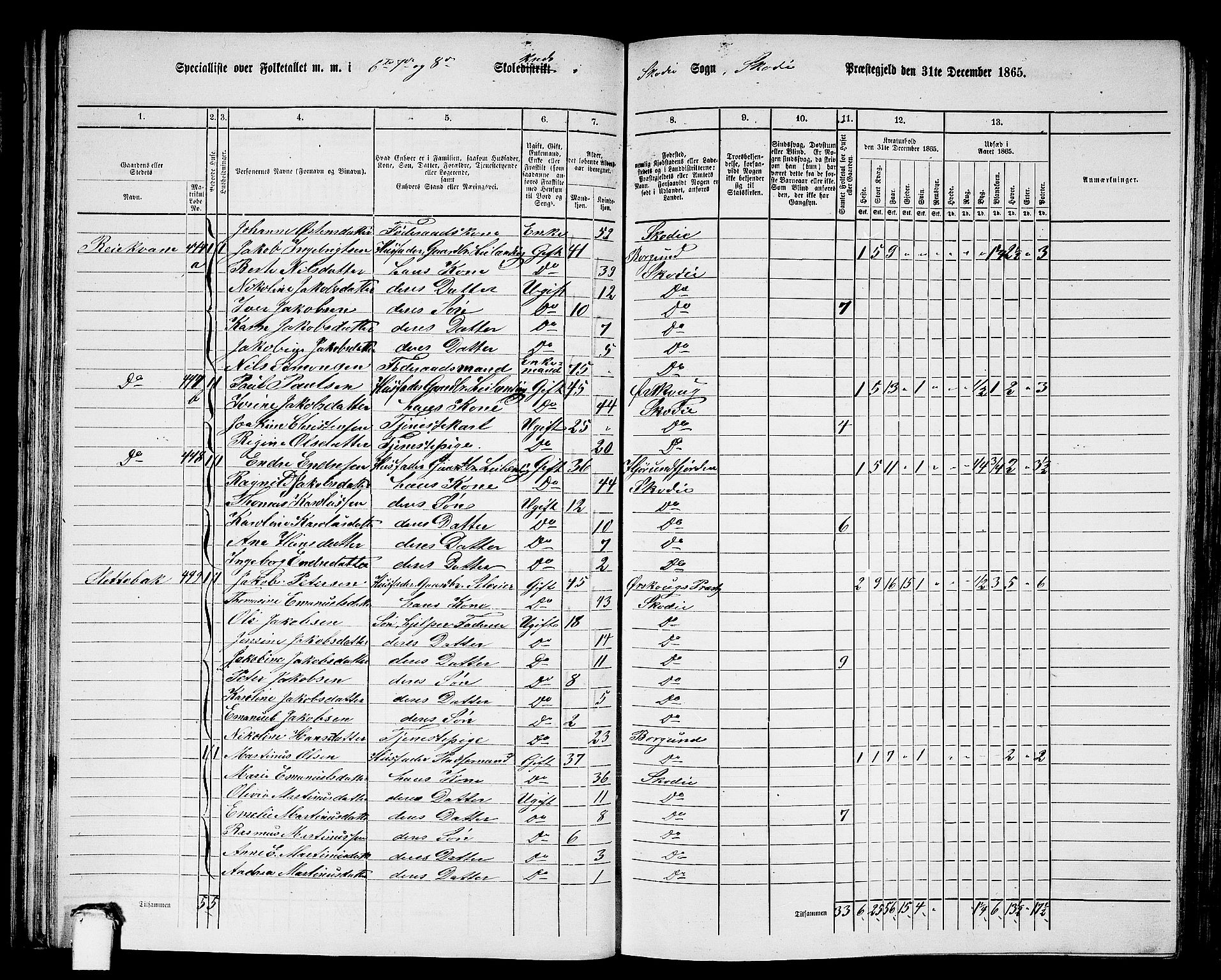 RA, 1865 census for Skodje, 1865, p. 54