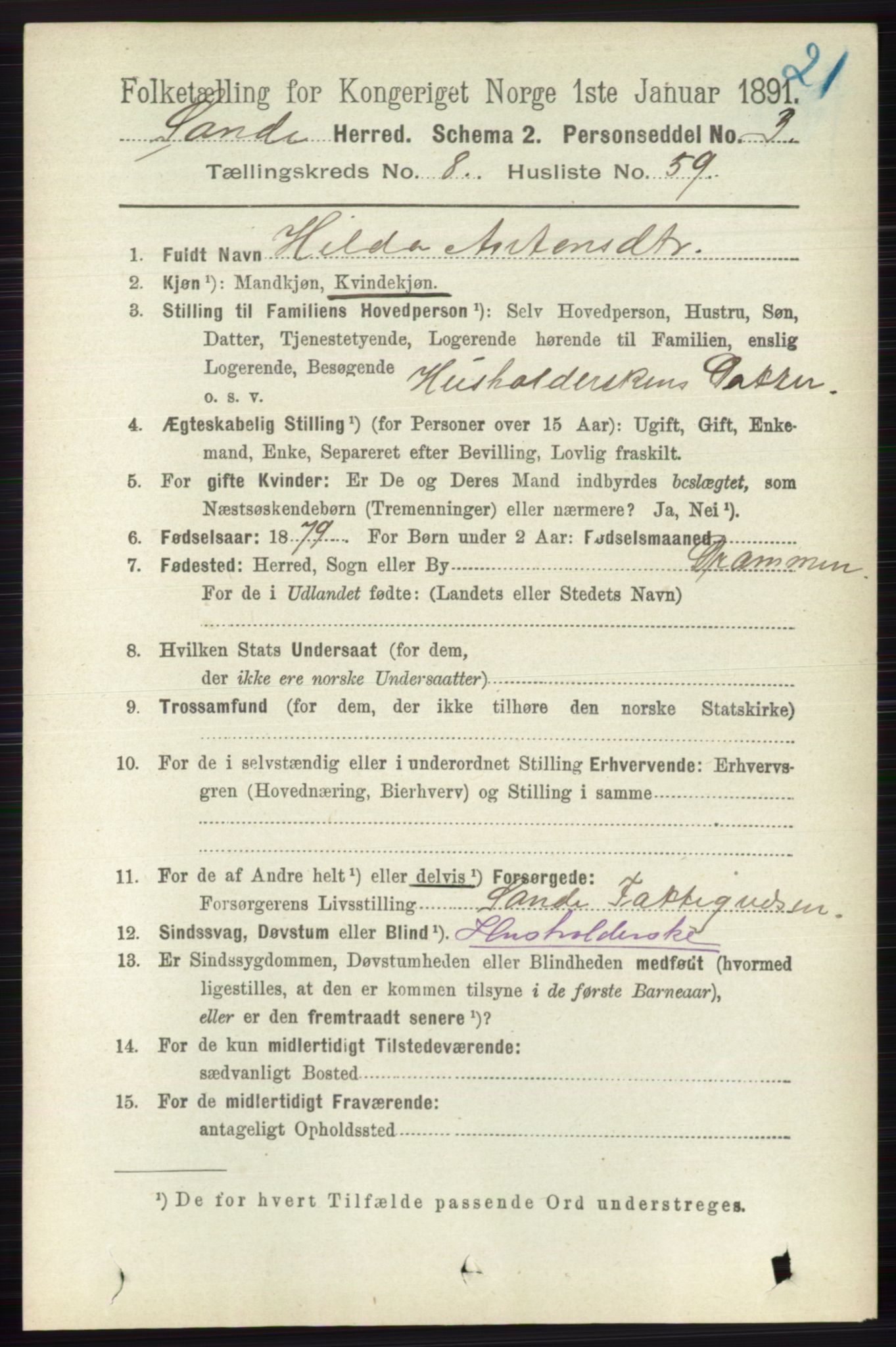 RA, 1891 census for 0713 Sande, 1891, p. 3833