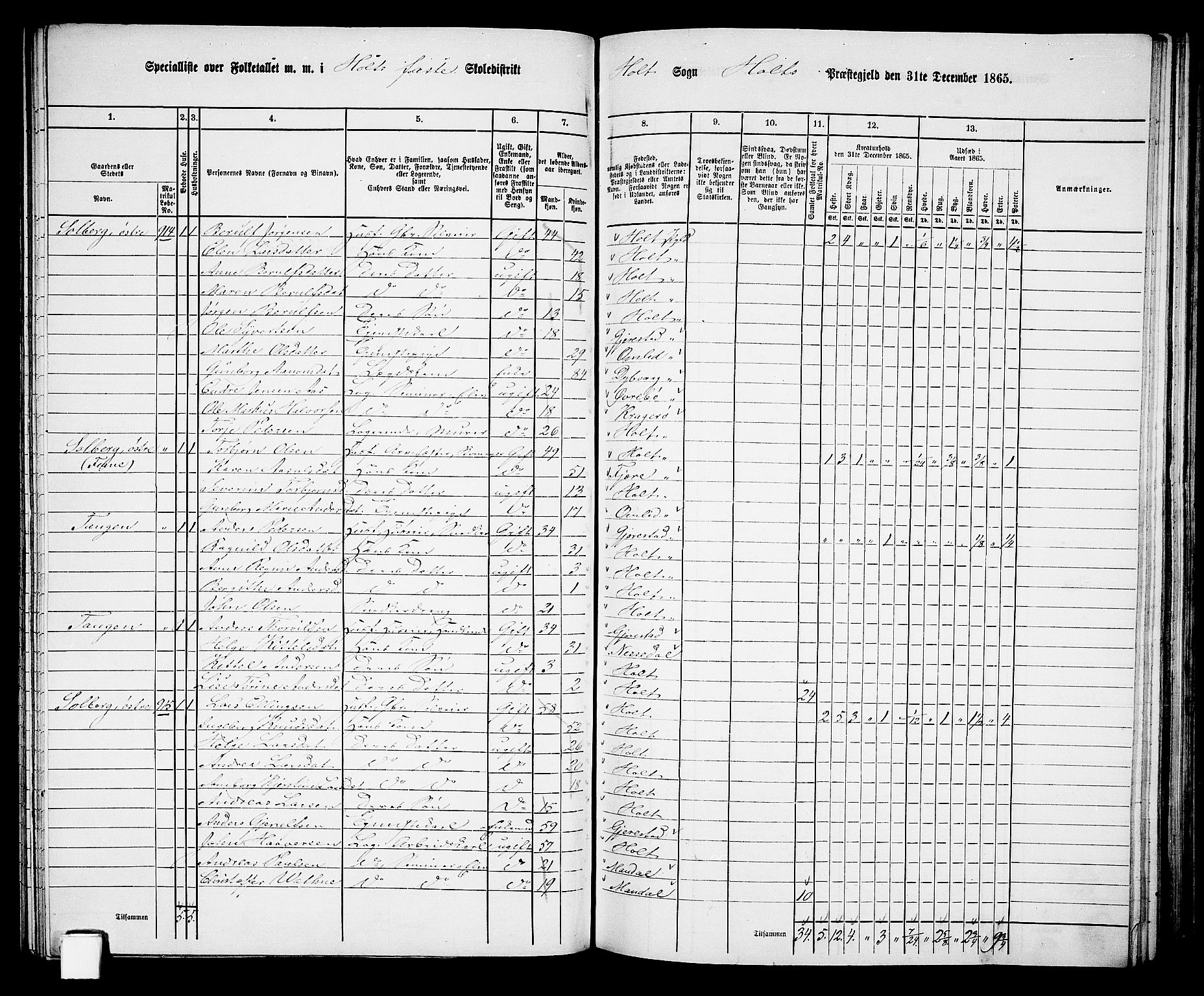 RA, 1865 census for Holt/Holt, 1865, p. 100