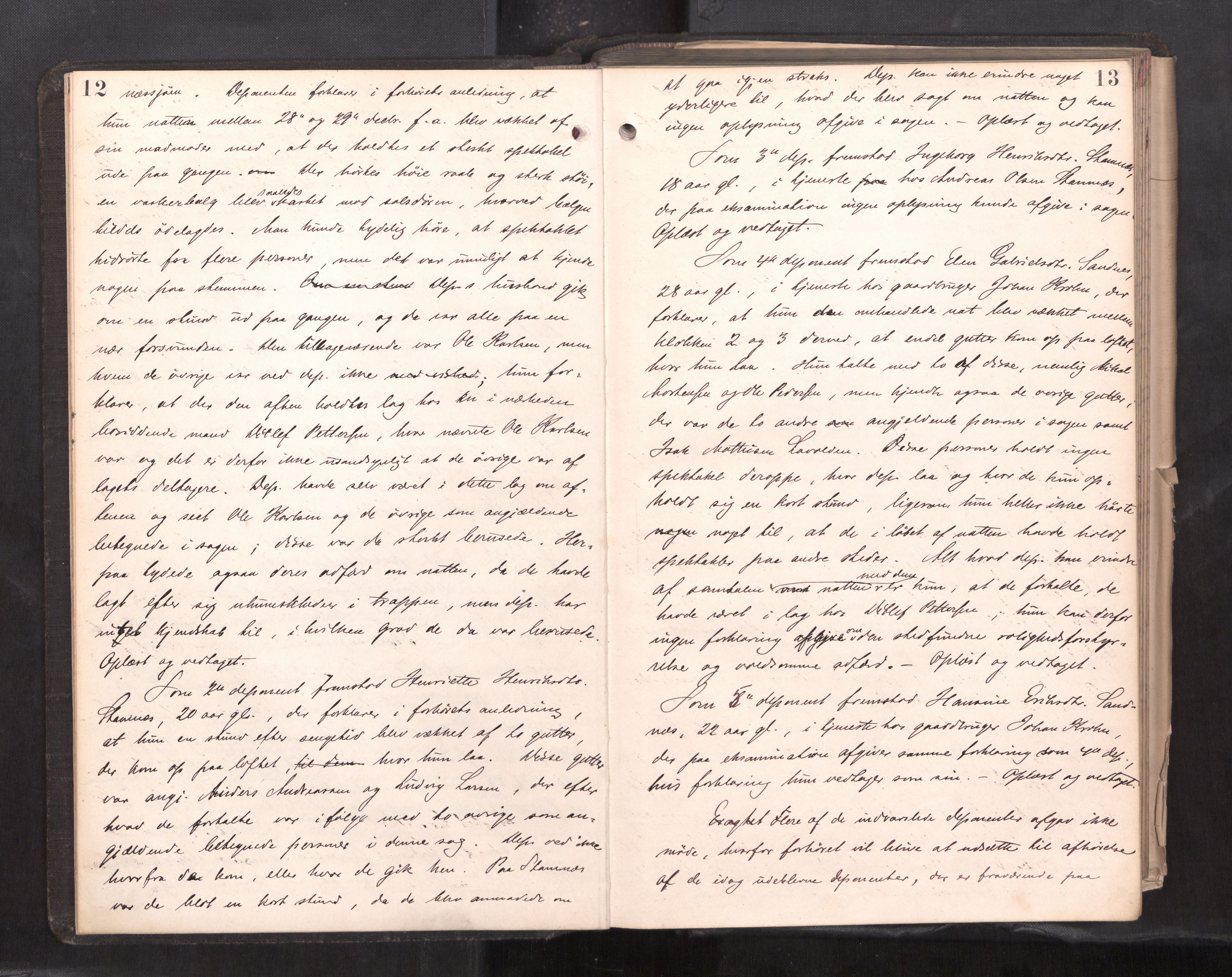 Søndre Helgeland sorenskriveri, AV/SAT-A-4575/1/1/1B/1Ba/L0018: ekstrarettsprotokoll, 1889-1893, p. 12-13