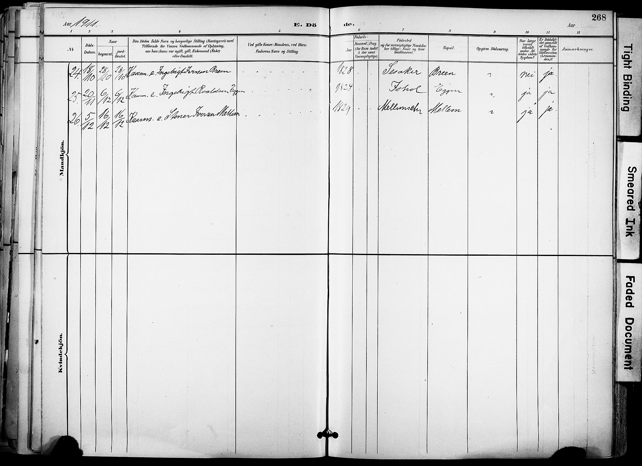 Ministerialprotokoller, klokkerbøker og fødselsregistre - Sør-Trøndelag, AV/SAT-A-1456/678/L0902: Parish register (official) no. 678A11, 1895-1911, p. 268