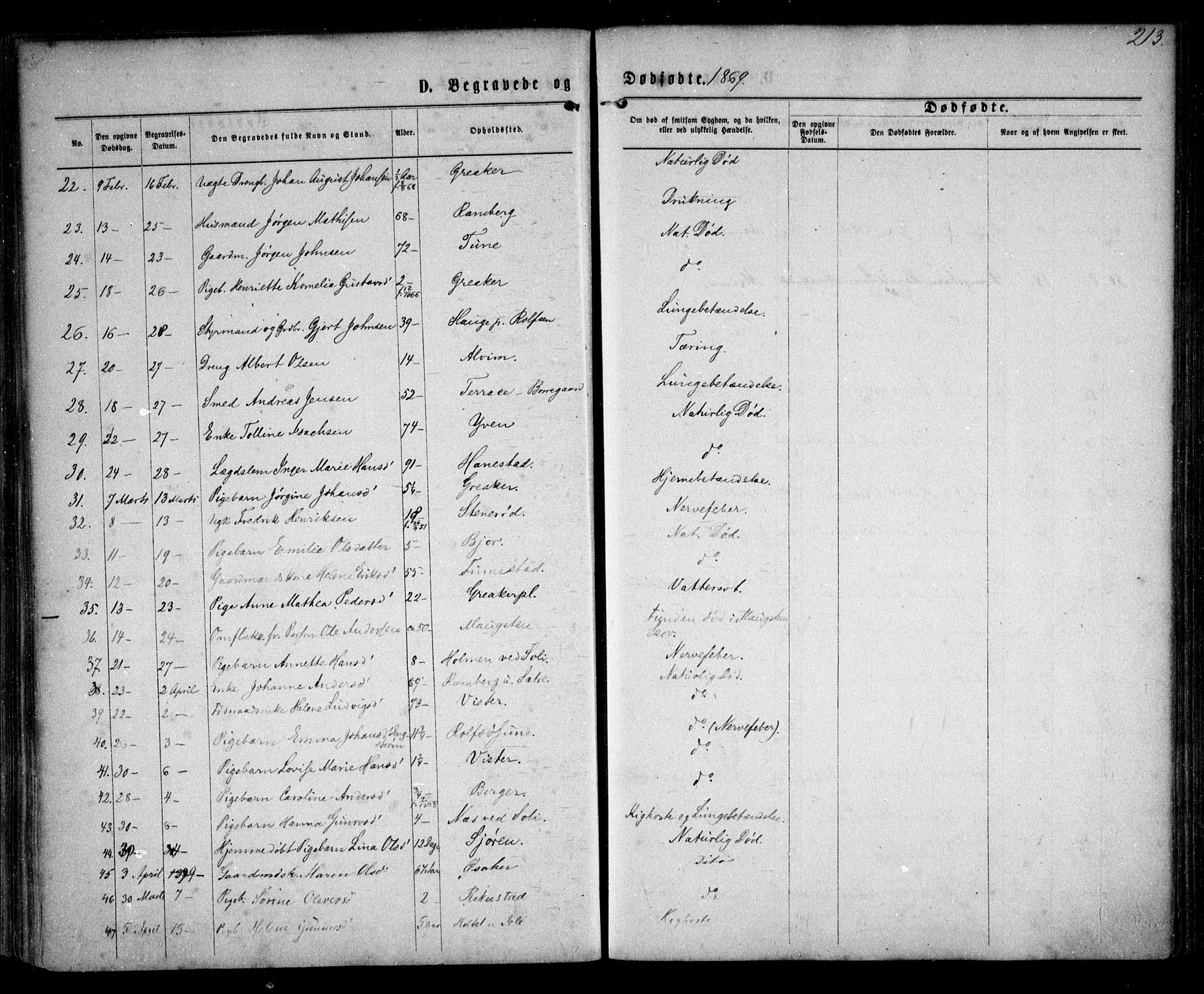Tune prestekontor Kirkebøker, AV/SAO-A-2007/F/Fa/L0015: Parish register (official) no. 15, 1869-1873, p. 213