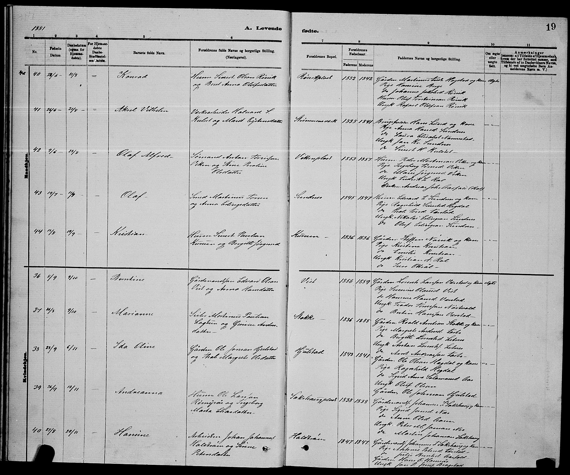 Ministerialprotokoller, klokkerbøker og fødselsregistre - Nord-Trøndelag, AV/SAT-A-1458/730/L0301: Parish register (copy) no. 730C04, 1880-1897, p. 19