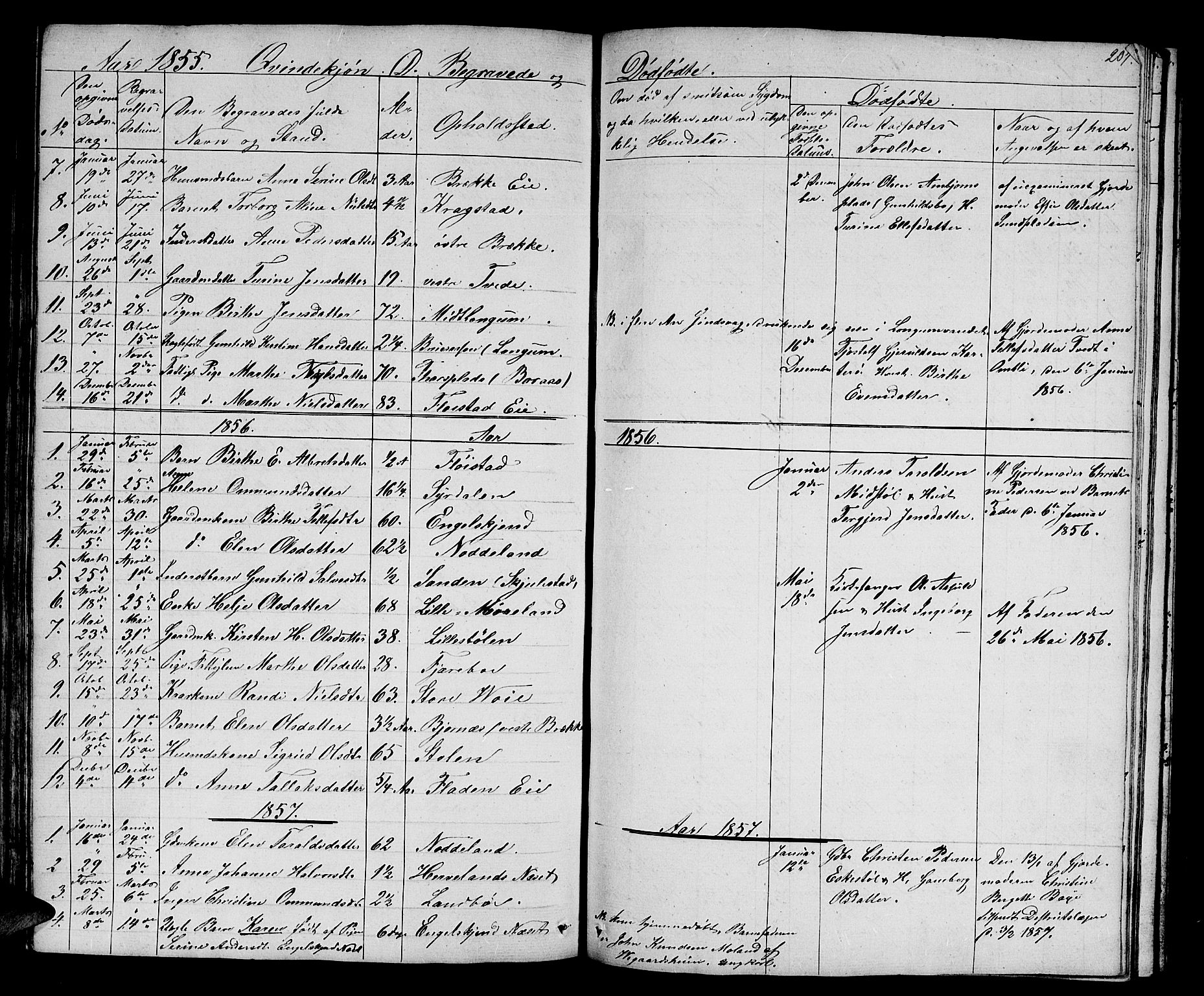 Austre Moland sokneprestkontor, SAK/1111-0001/F/Fb/Fba/L0001: Parish register (copy) no. B 1, 1842-1868, p. 207