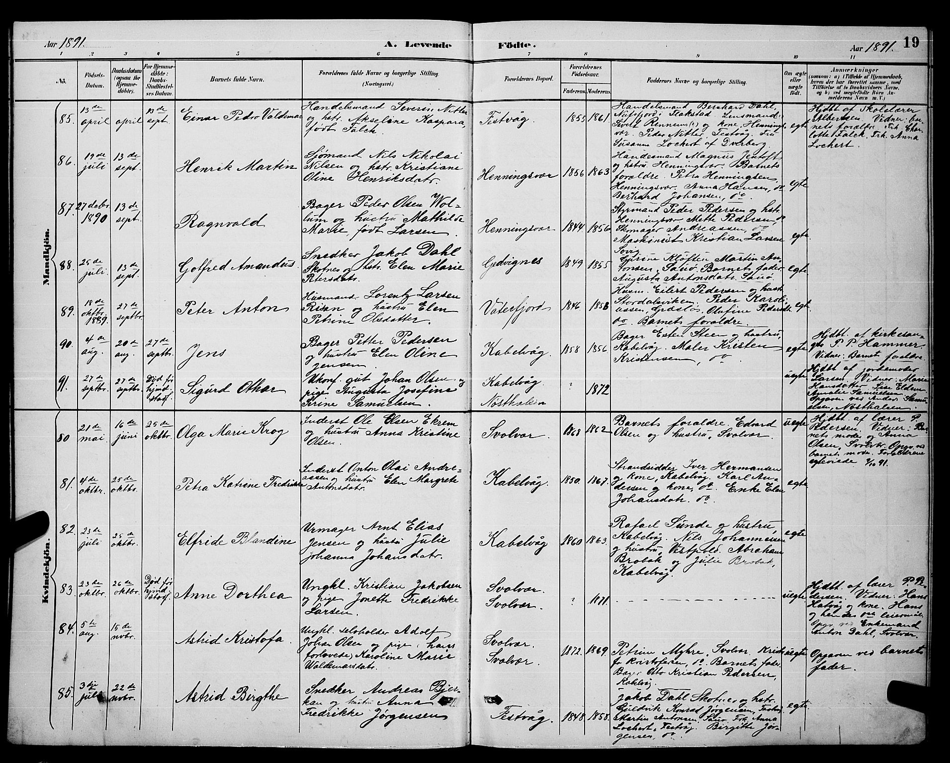 Ministerialprotokoller, klokkerbøker og fødselsregistre - Nordland, AV/SAT-A-1459/874/L1077: Parish register (copy) no. 874C06, 1891-1900, p. 19