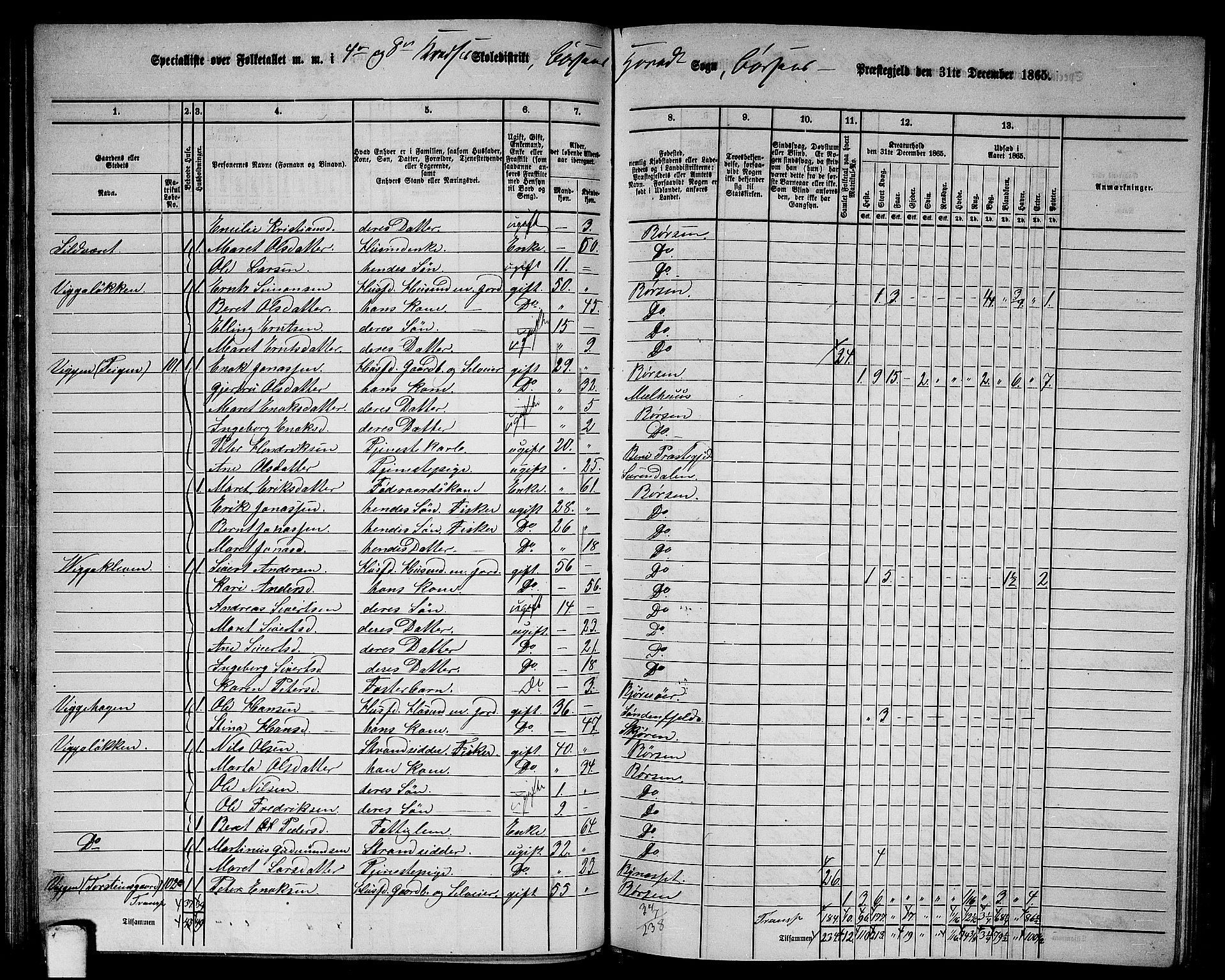 RA, 1865 census for Børsa, 1865, p. 72