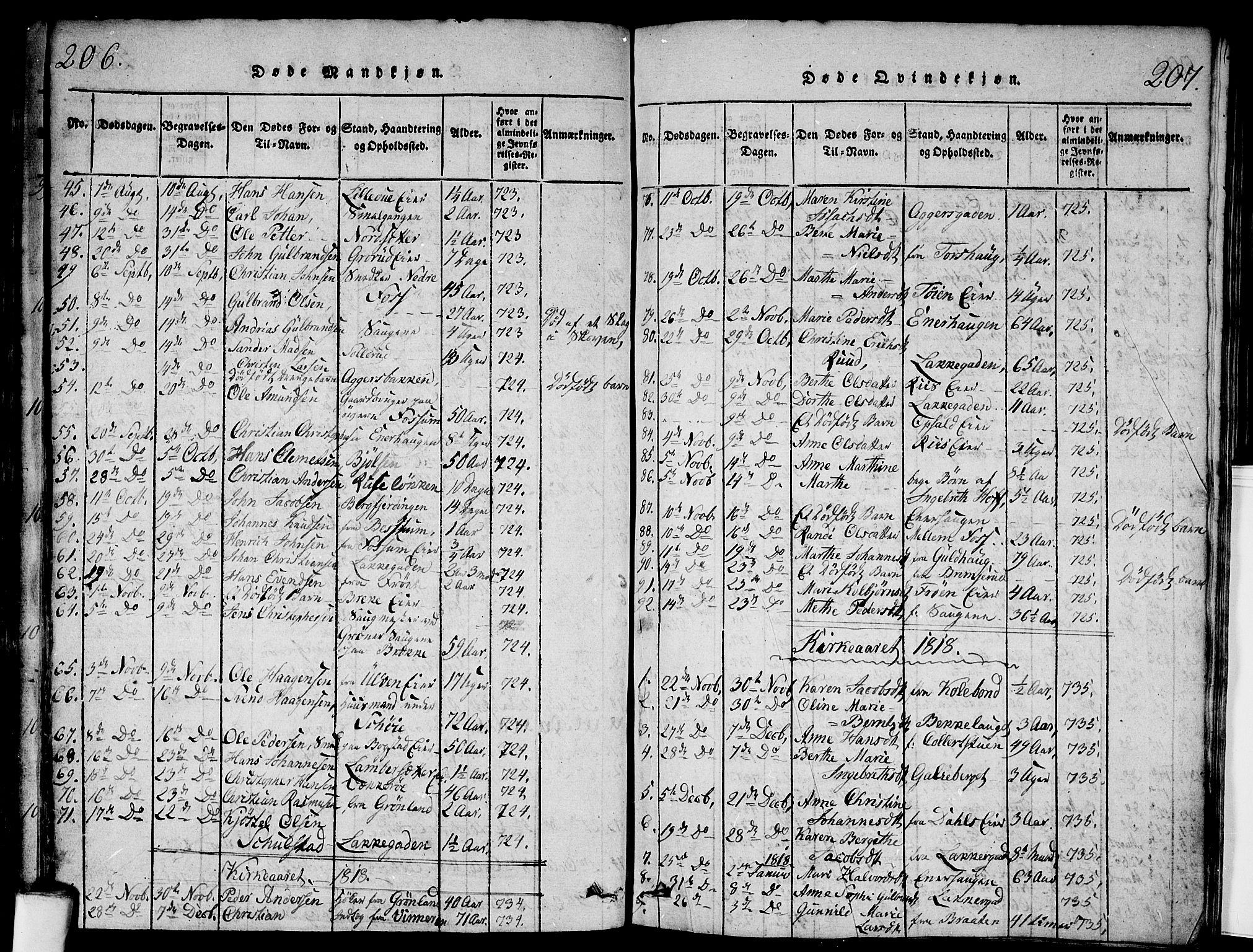 Aker prestekontor kirkebøker, SAO/A-10861/G/L0002: Parish register (copy) no. 2, 1815-1819, p. 206-207