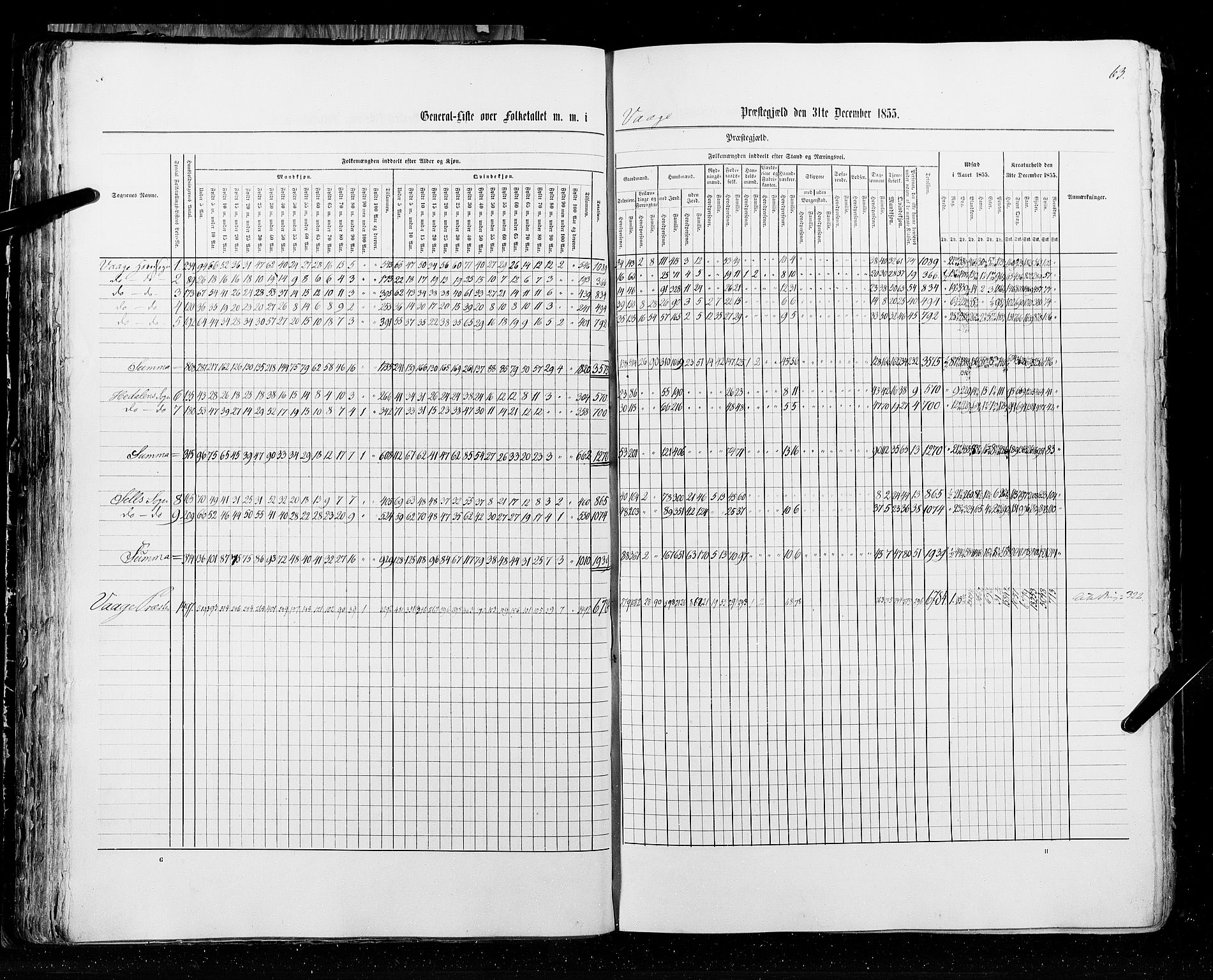 RA, Census 1855, vol. 2: Kristians amt, Buskerud amt og Jarlsberg og Larvik amt, 1855, p. 63