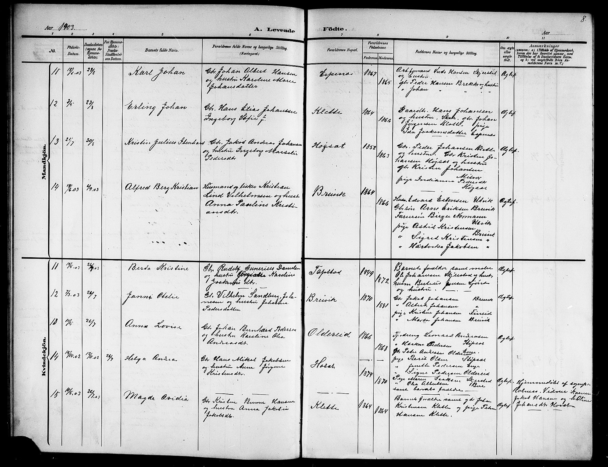 Ministerialprotokoller, klokkerbøker og fødselsregistre - Nordland, AV/SAT-A-1459/852/L0756: Parish register (copy) no. 852C07, 1902-1916, p. 8